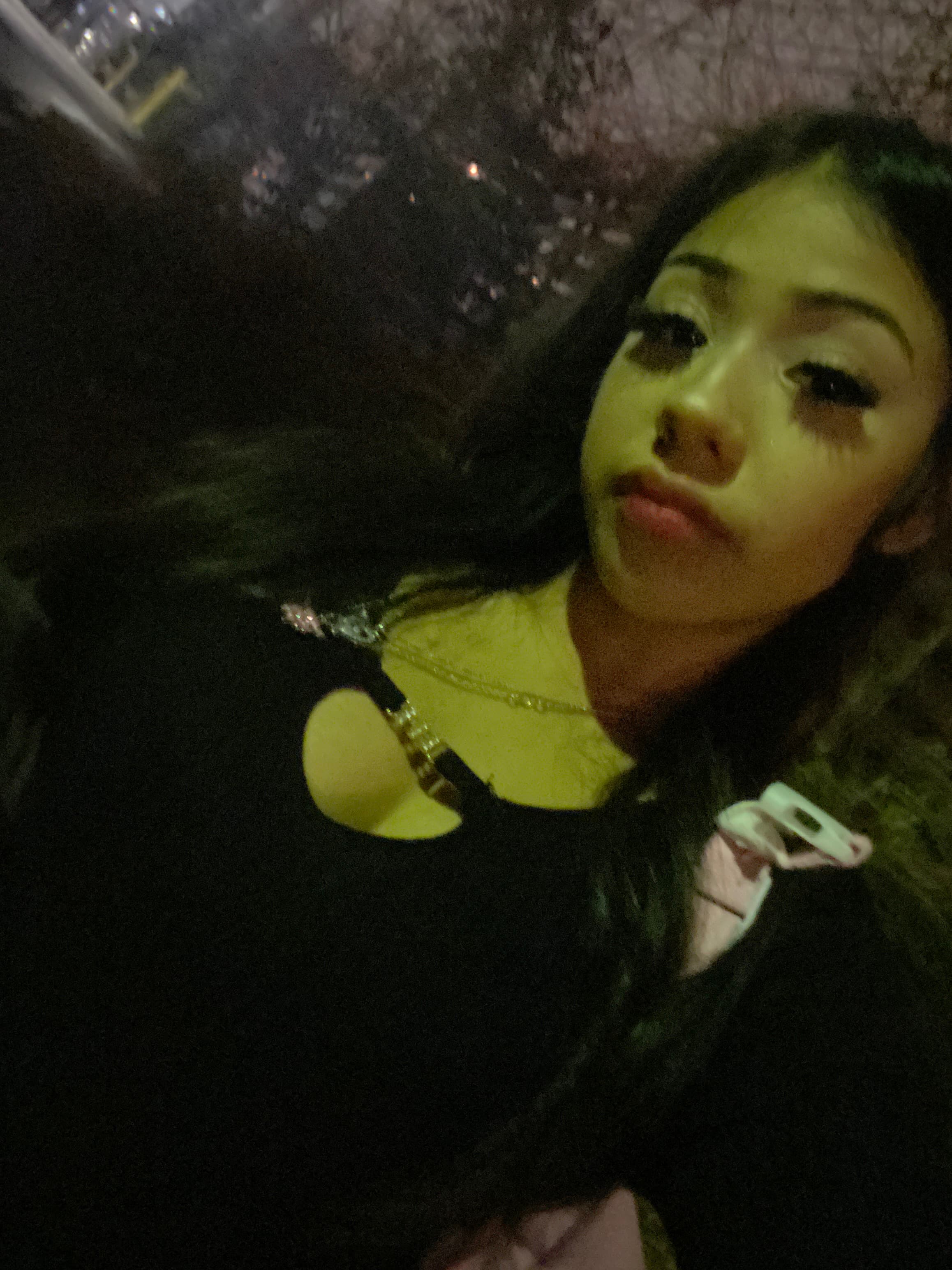 petite kitty banner image