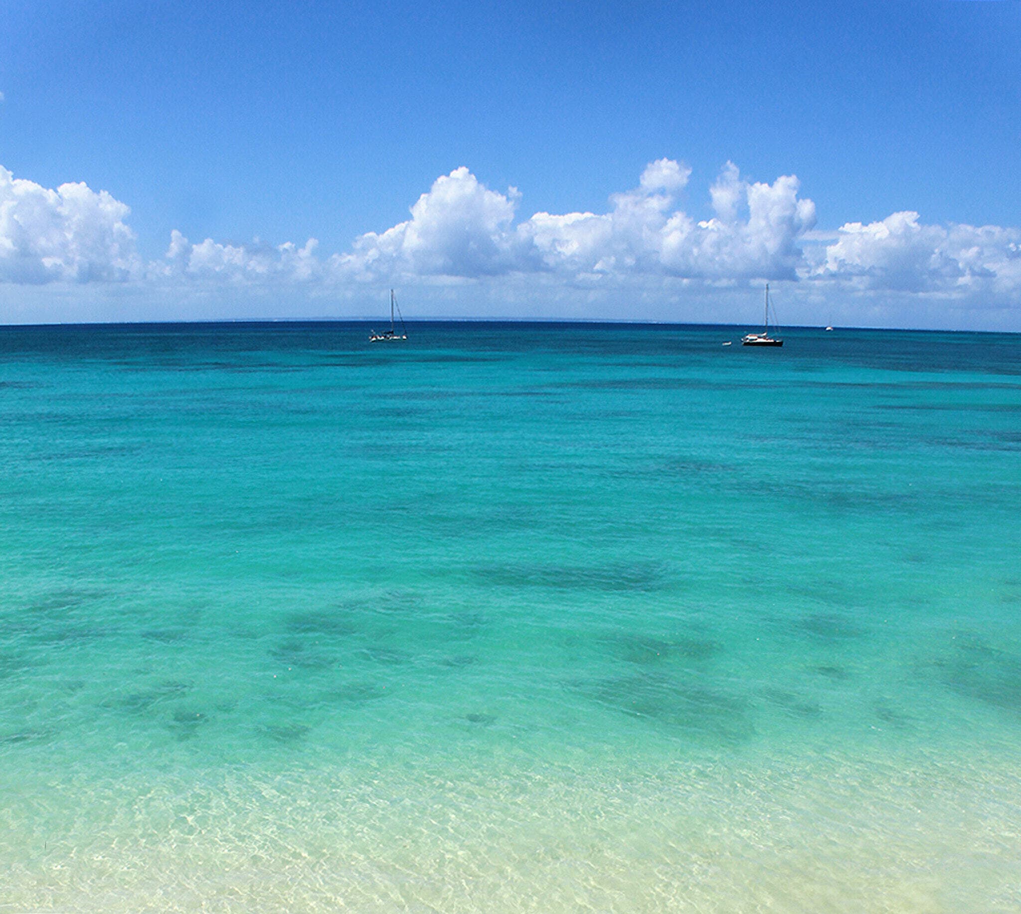 Alonsaurio banner image