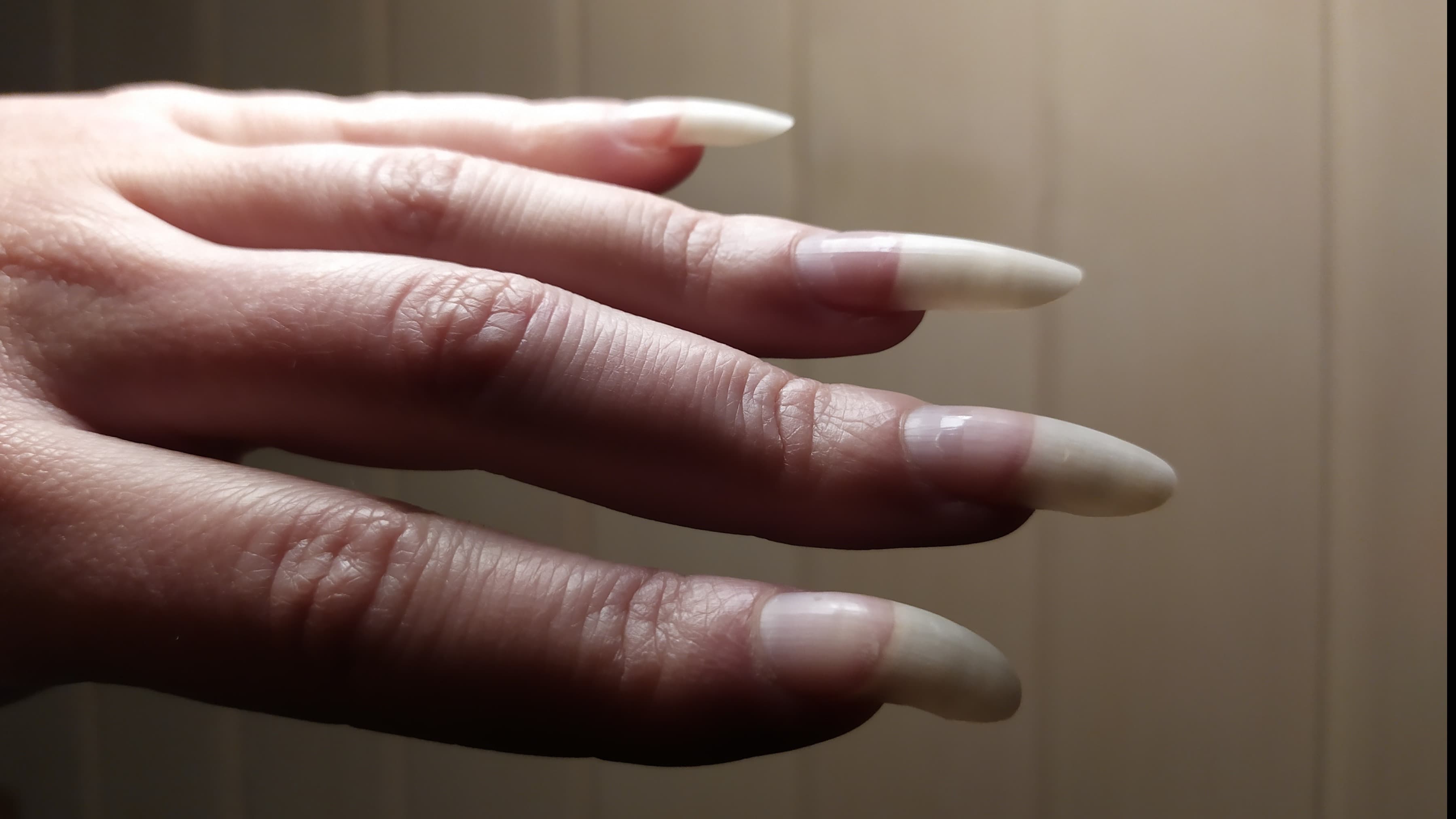Nailfiesta banner image