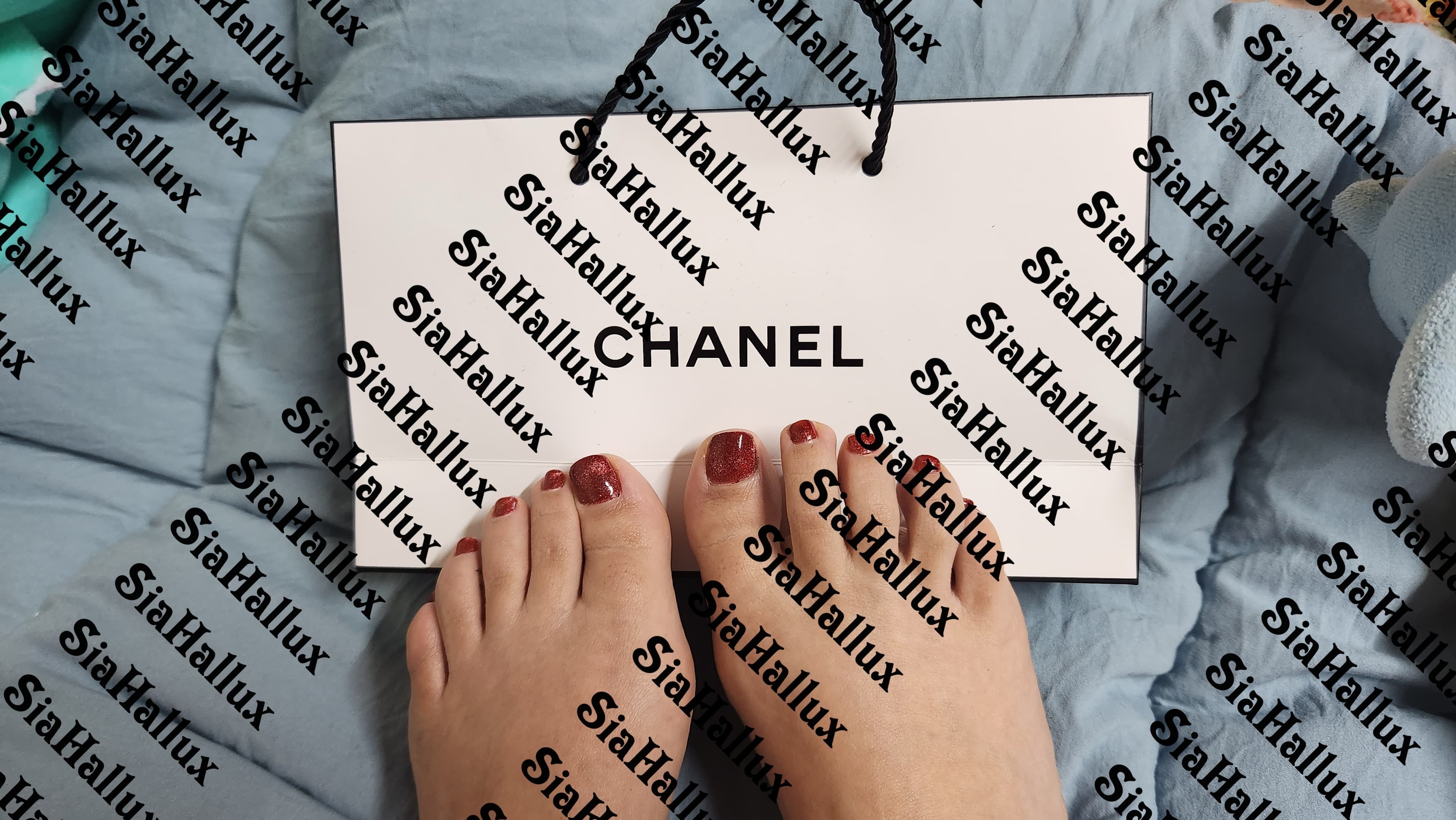 Sia banner image
