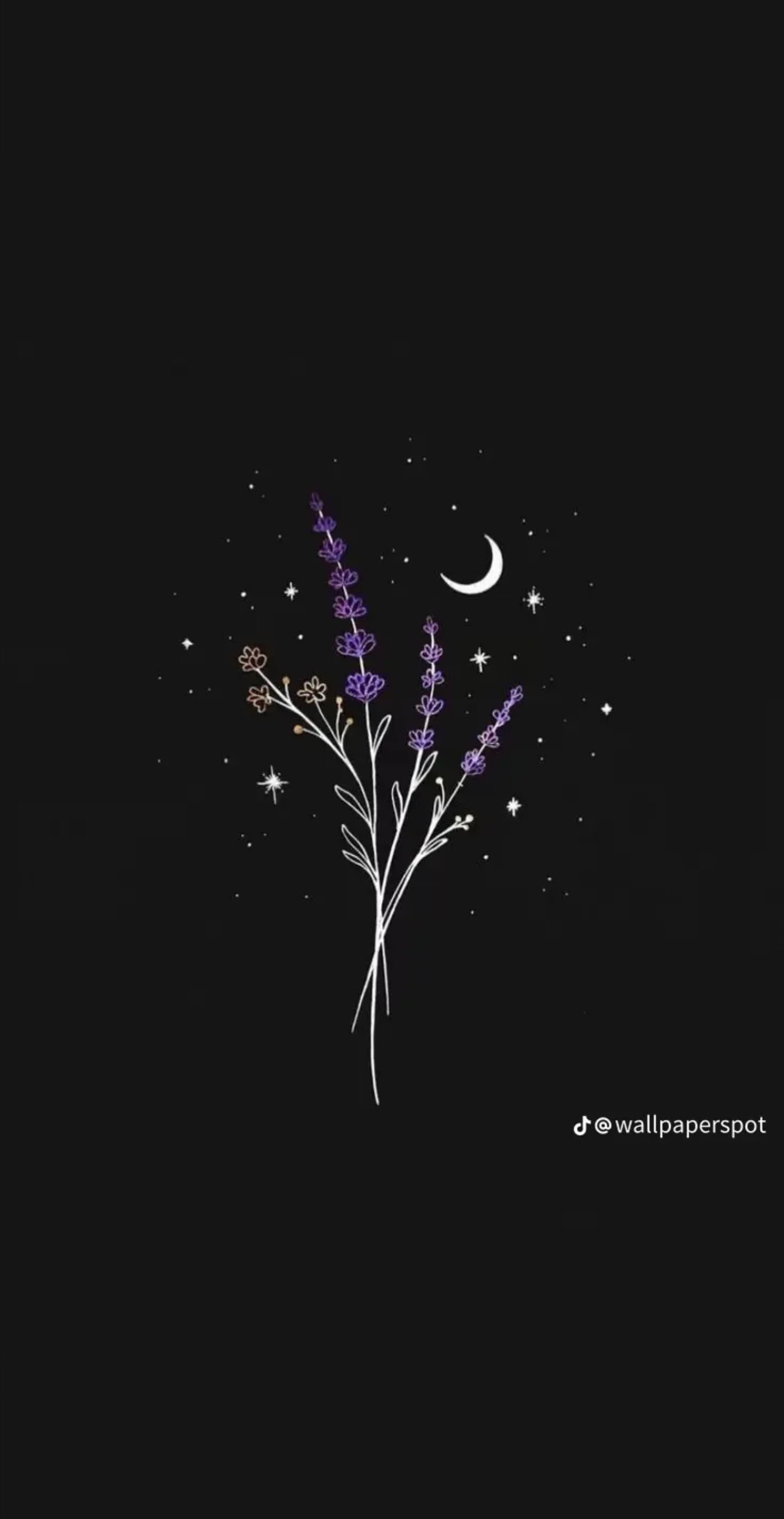 WitchyWoman1121 banner image