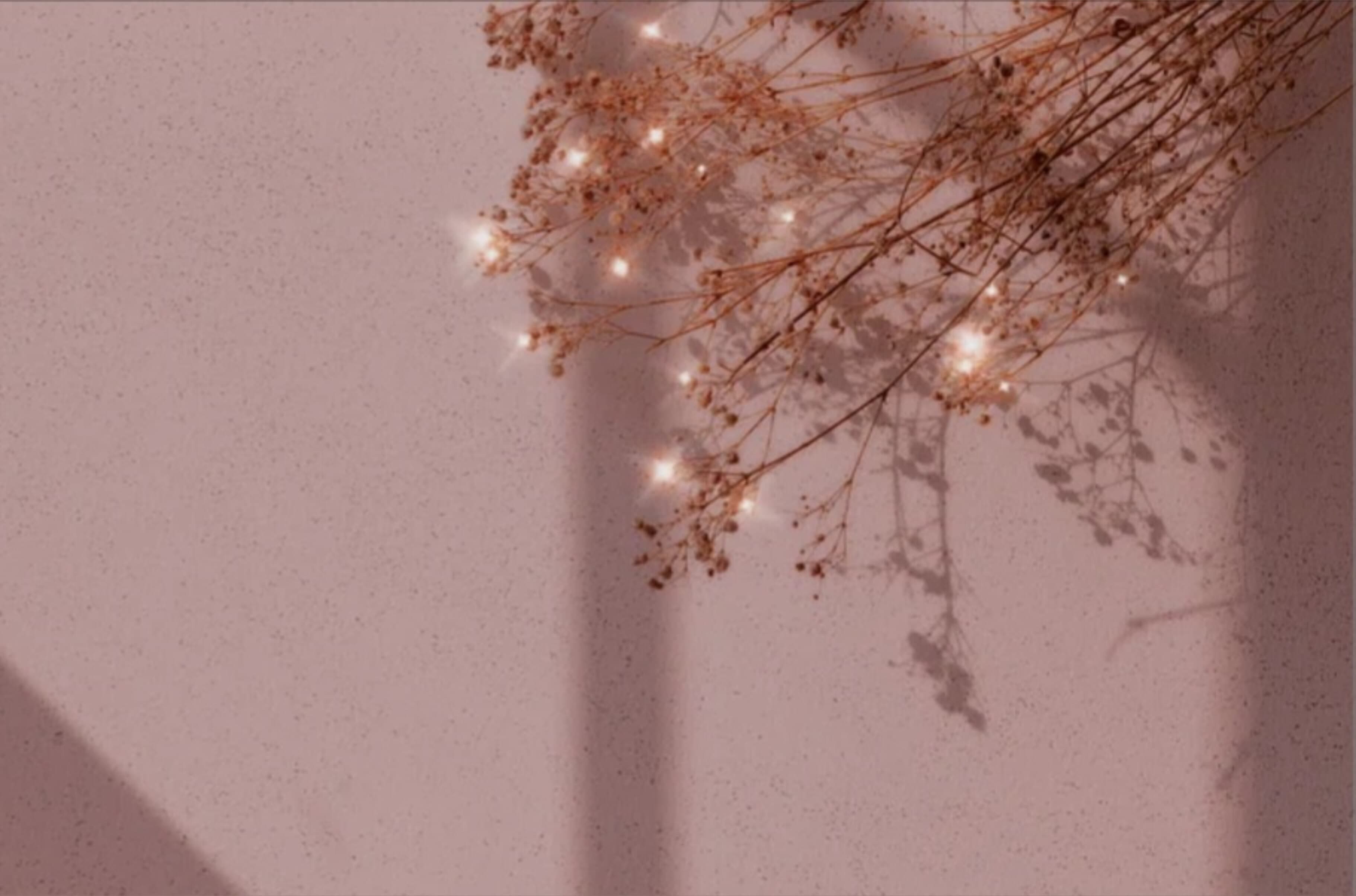 🧿🍄Lexiii_999🧿🍄 banner image