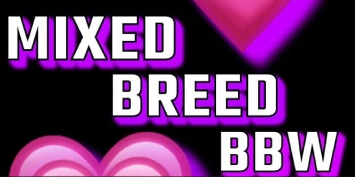 BigFineMixedBreed banner image