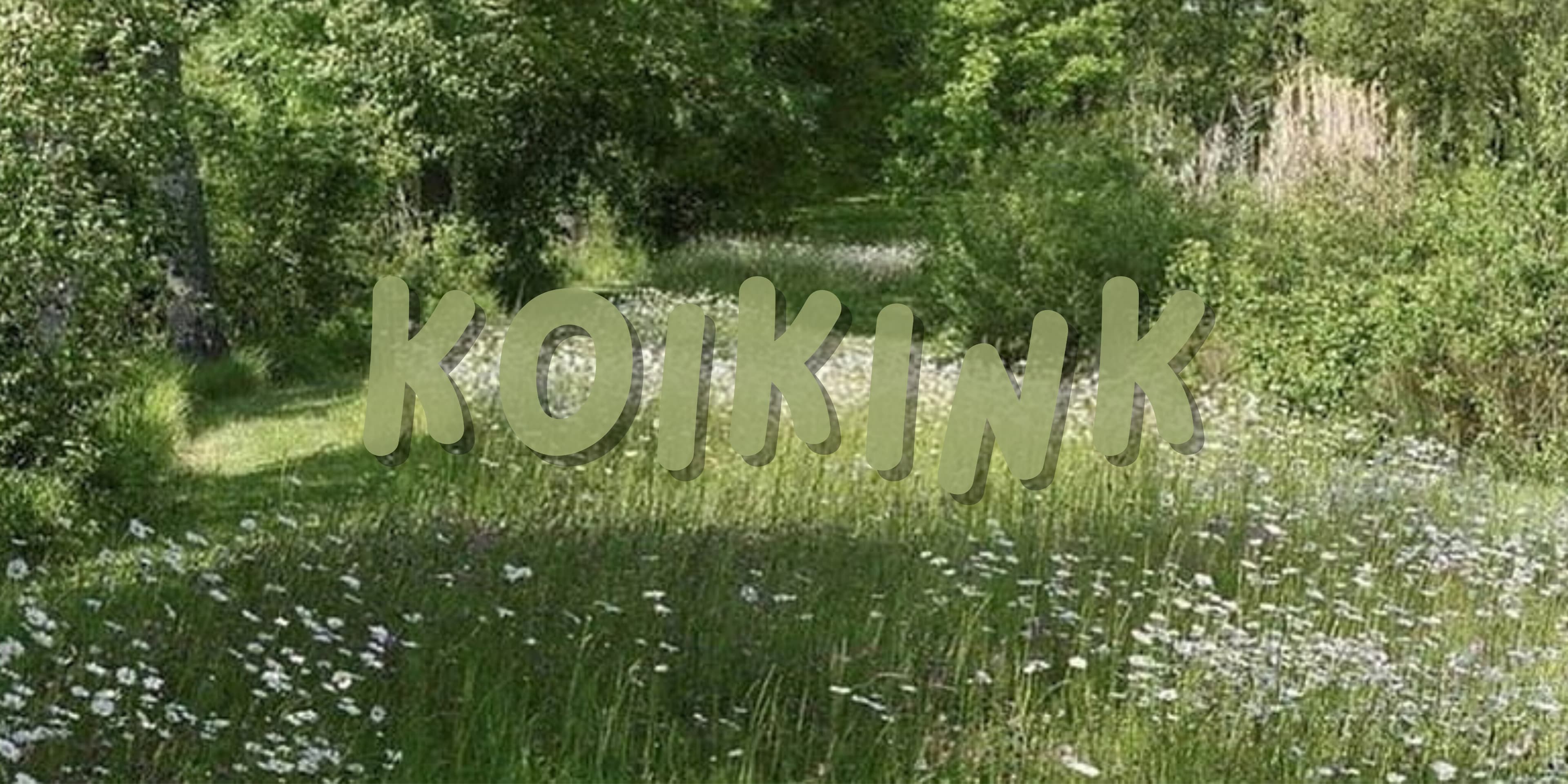 koi banner image