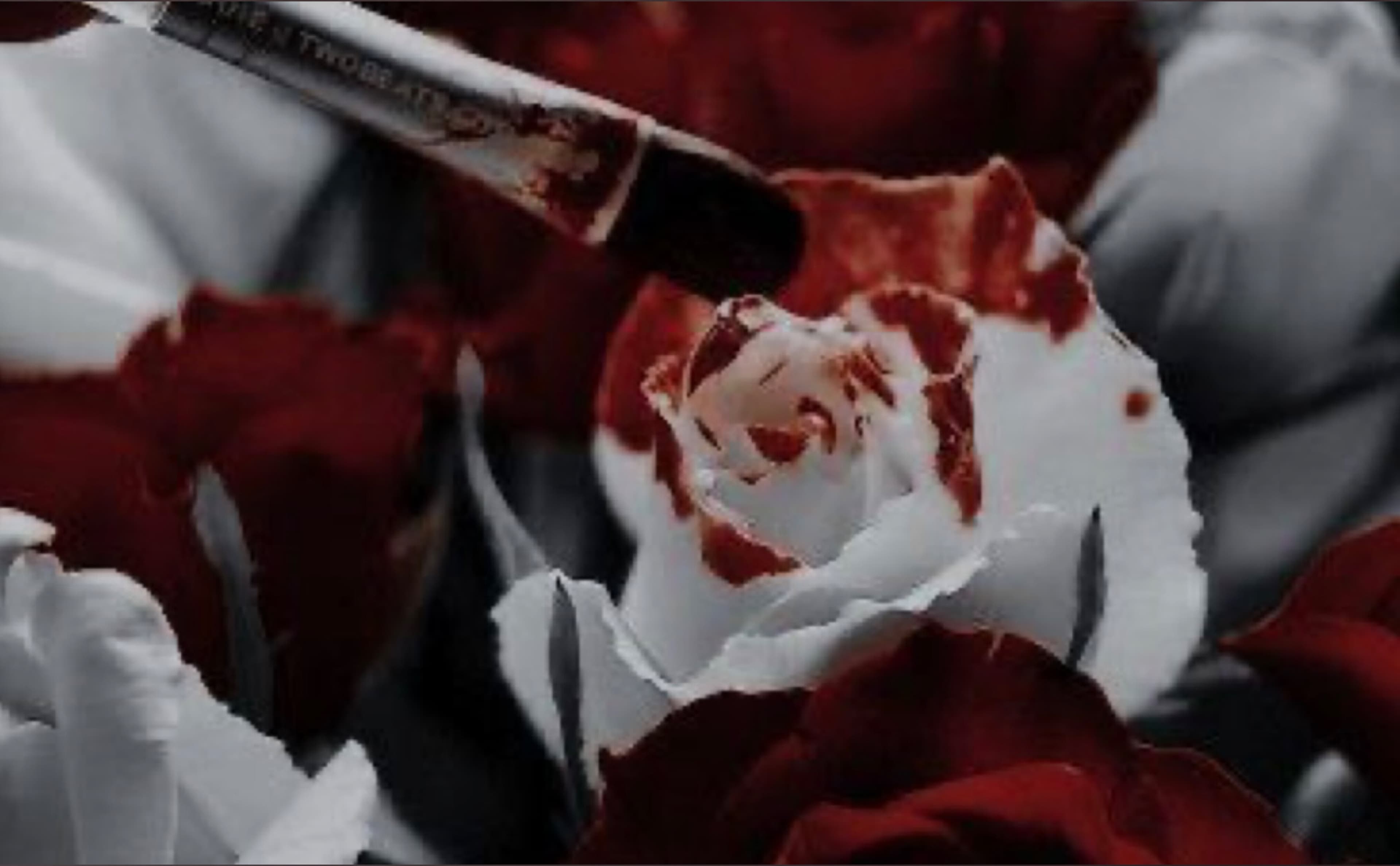 Em0_Alice banner image