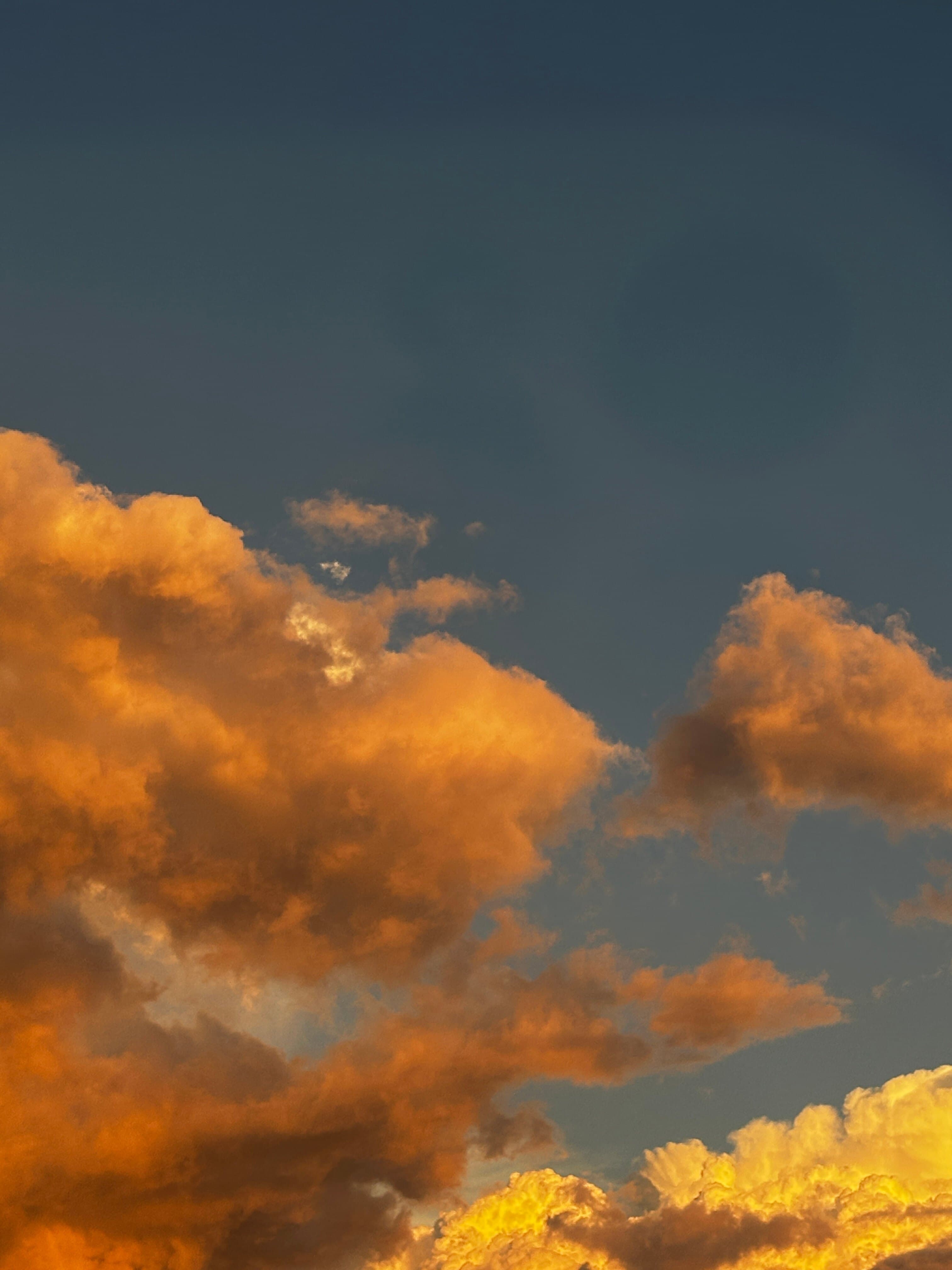 LudovicaMurano banner image