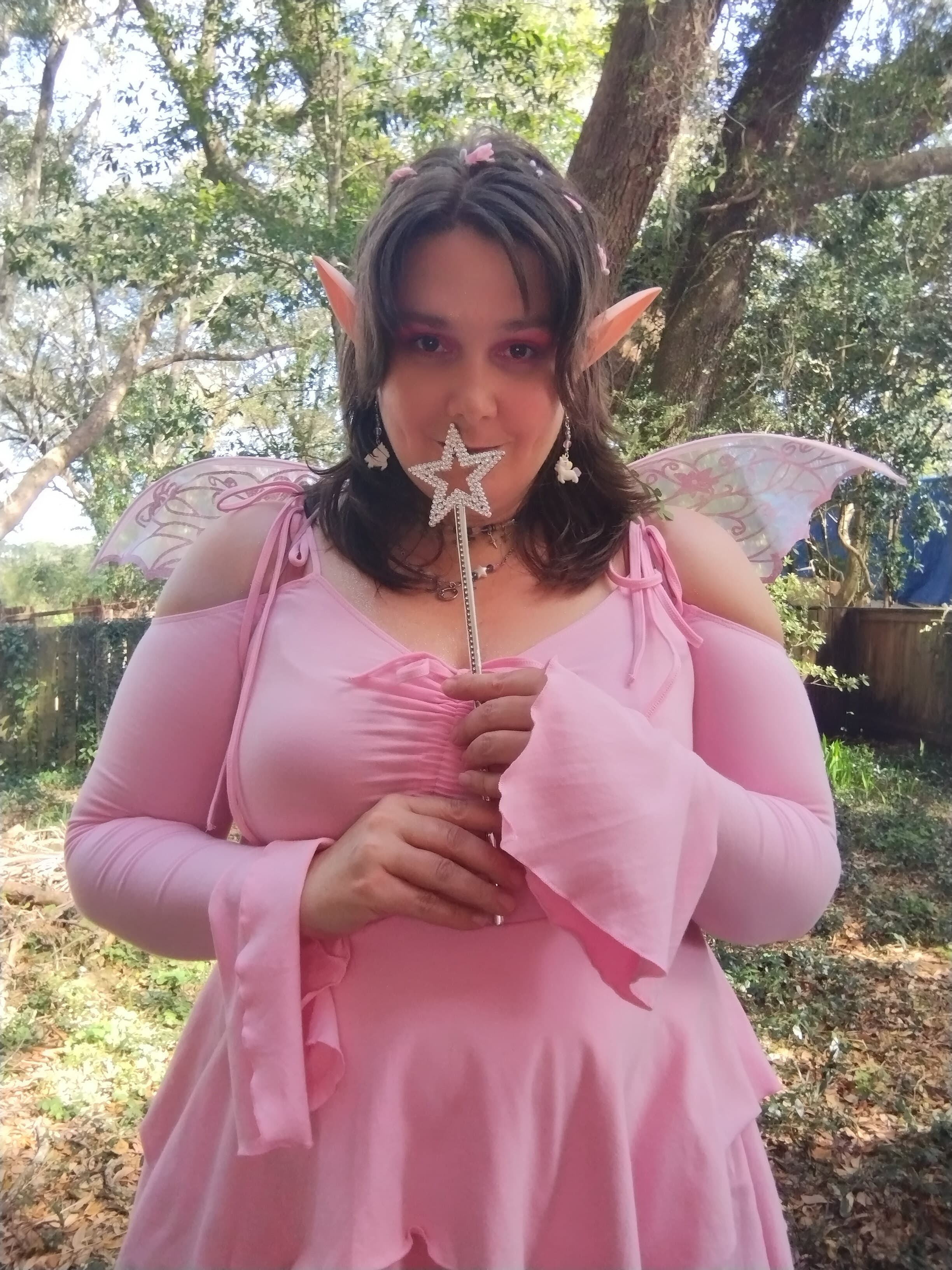 Princess Kitty banner image