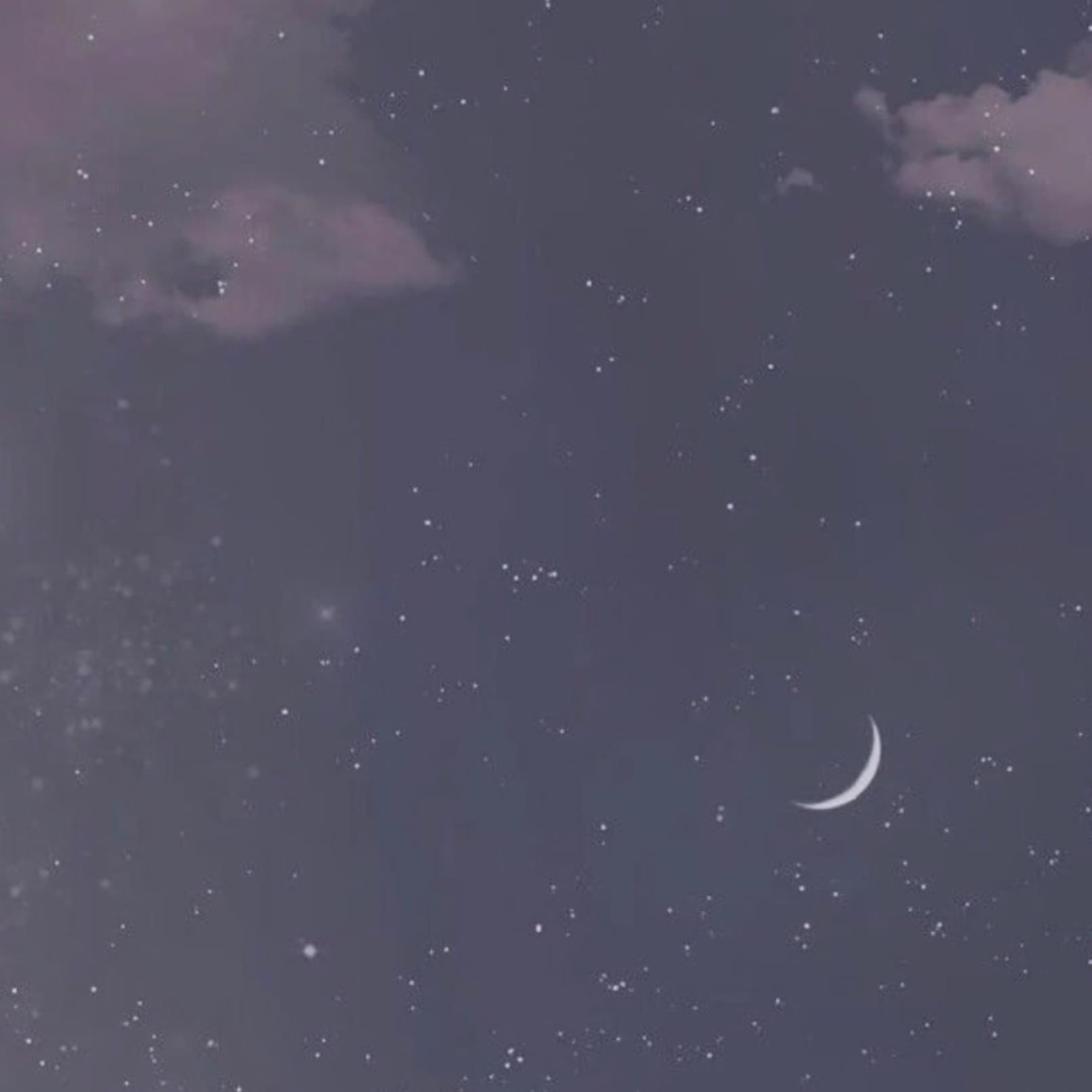 Rhiana banner image