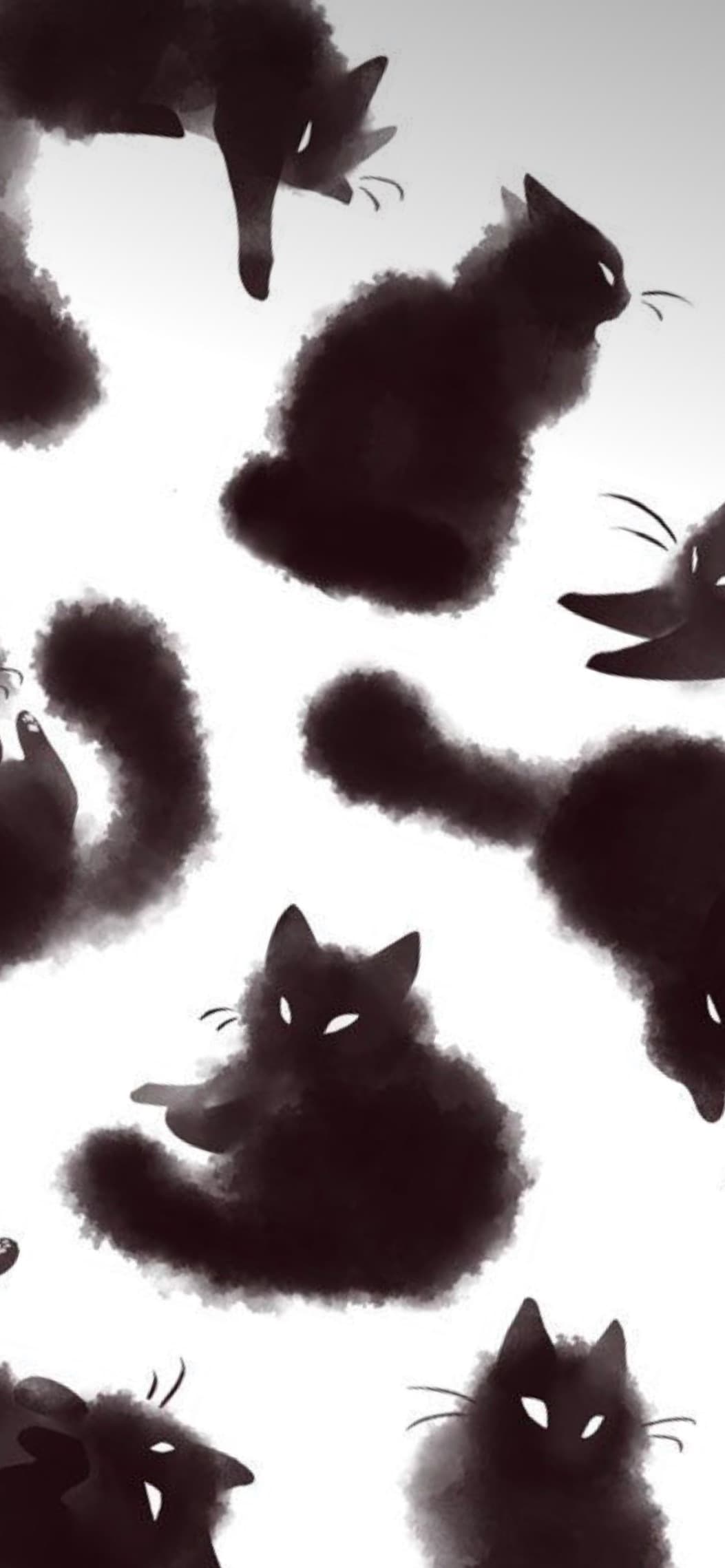 Sibella Stone banner image