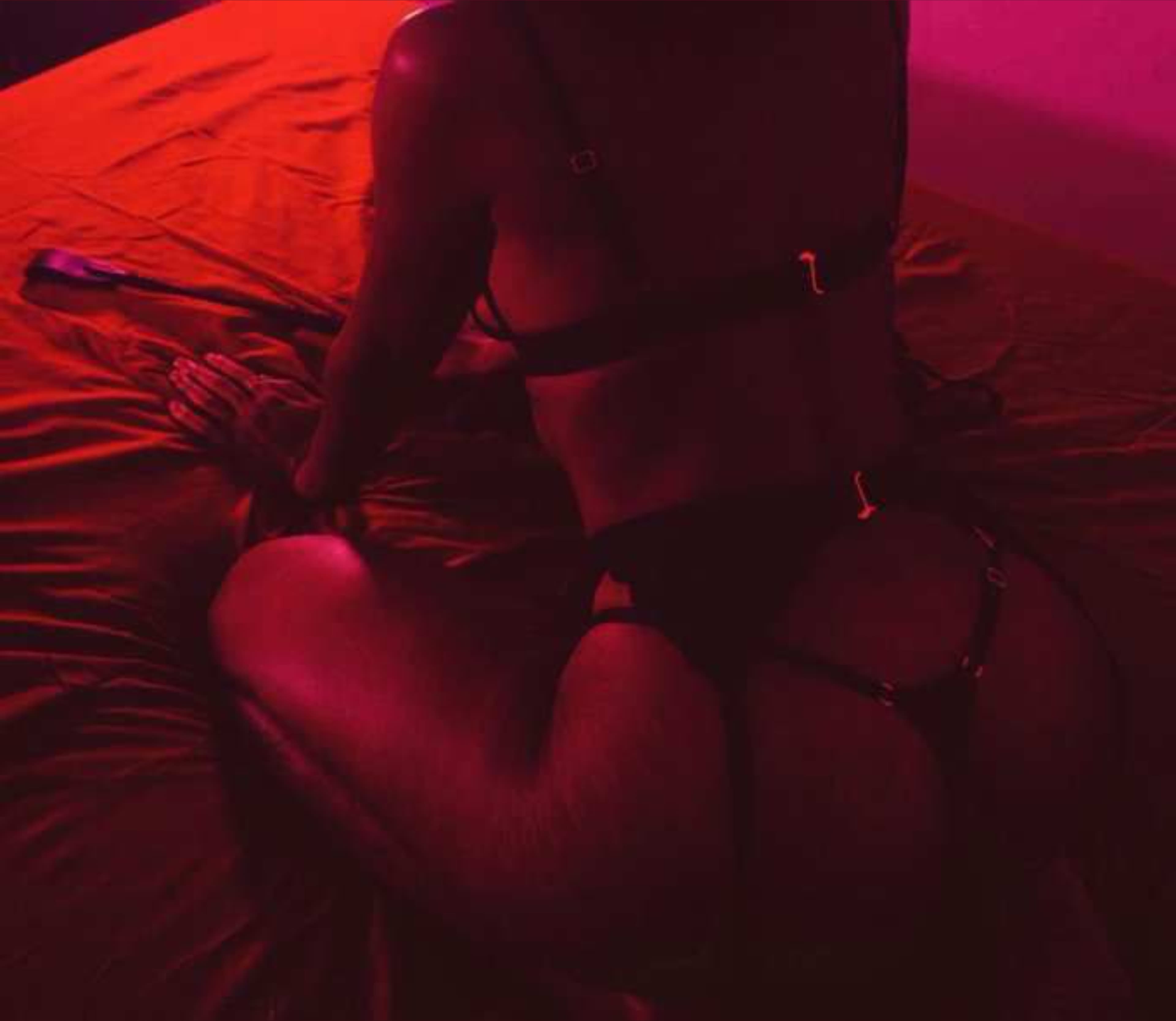 Ebony Fox banner image