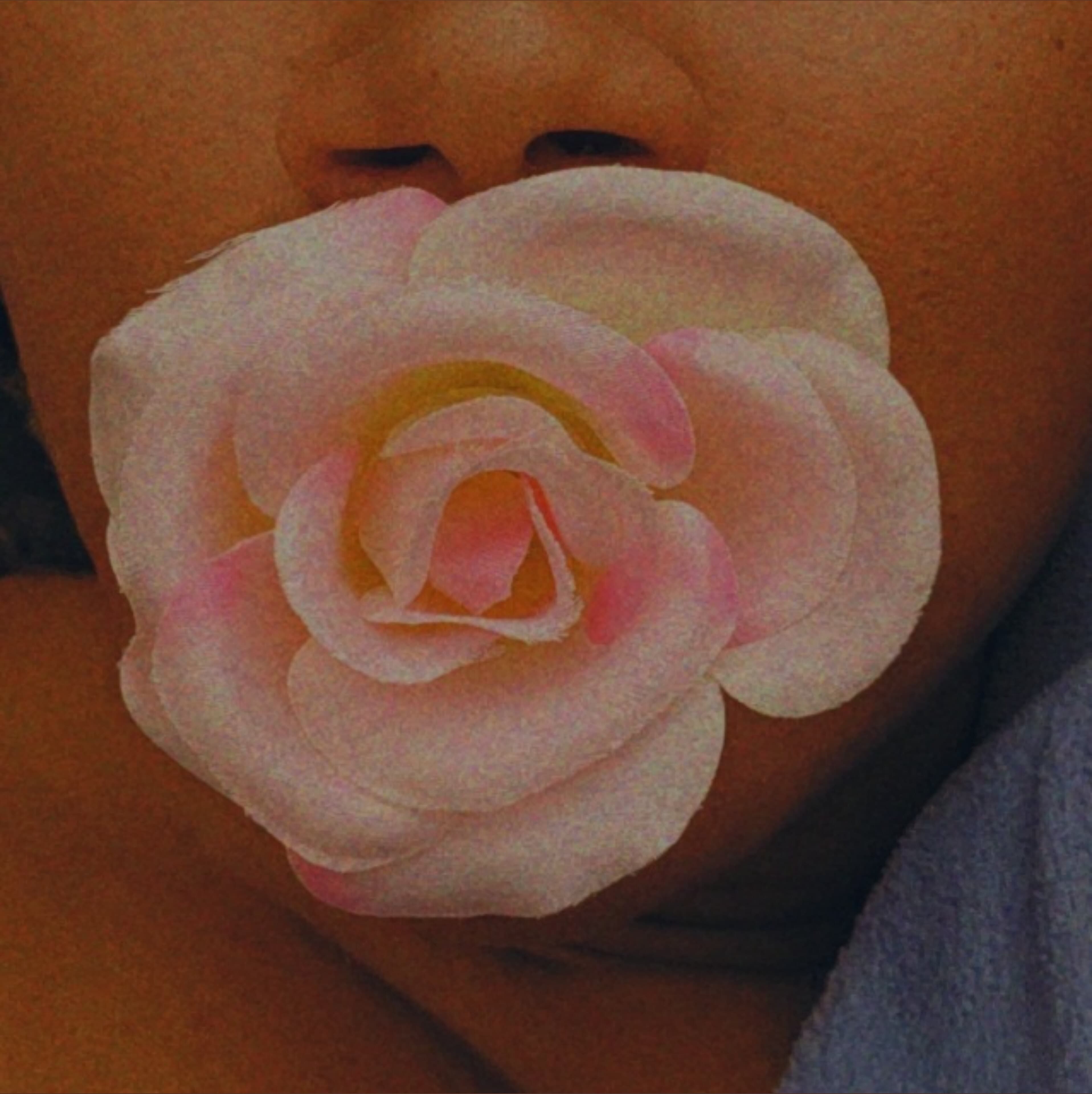 MadameLovely banner image