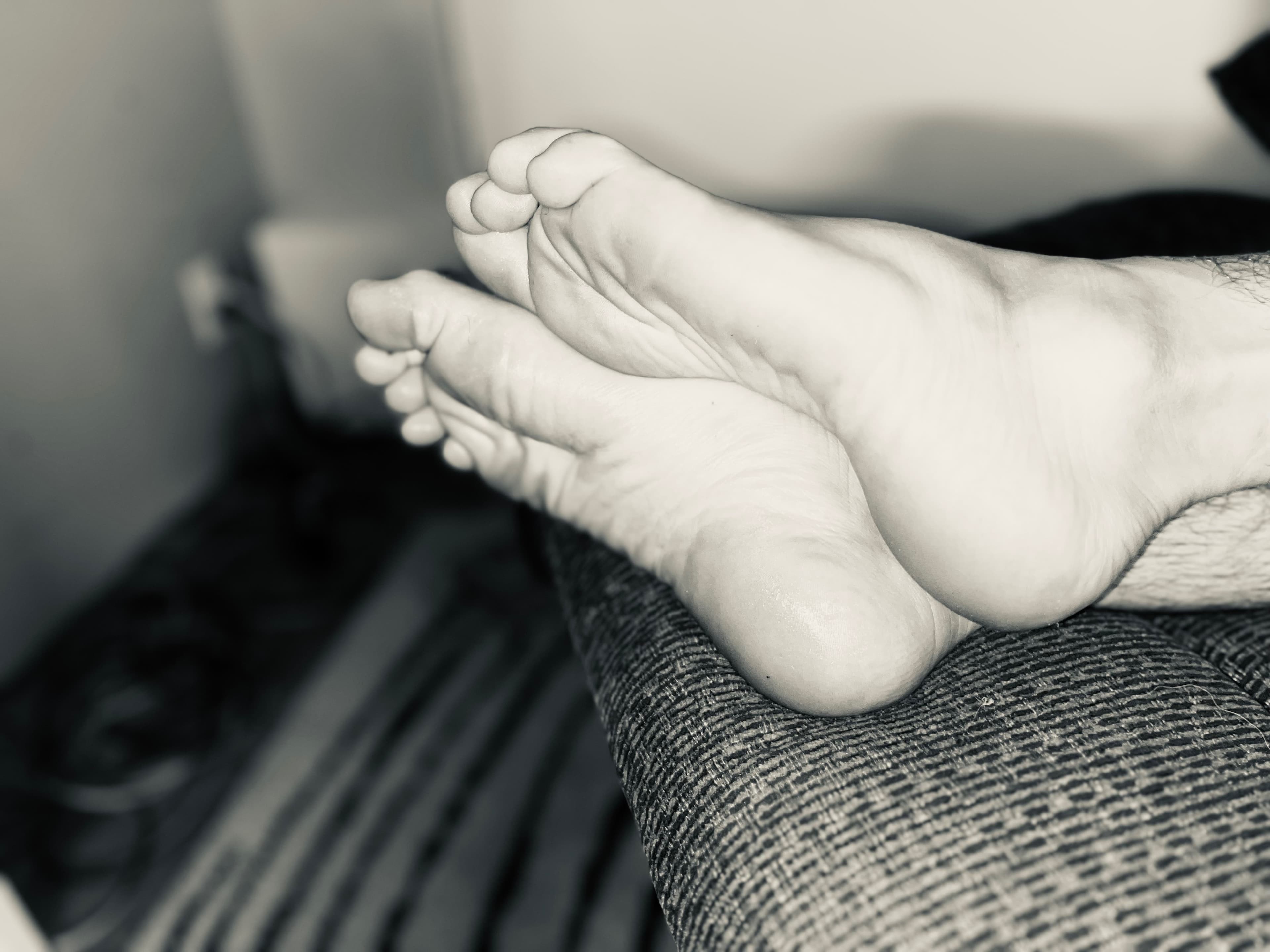 Toetales banner image