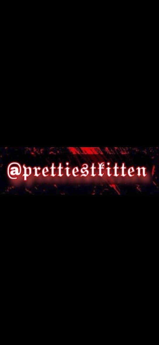 Kitten banner image