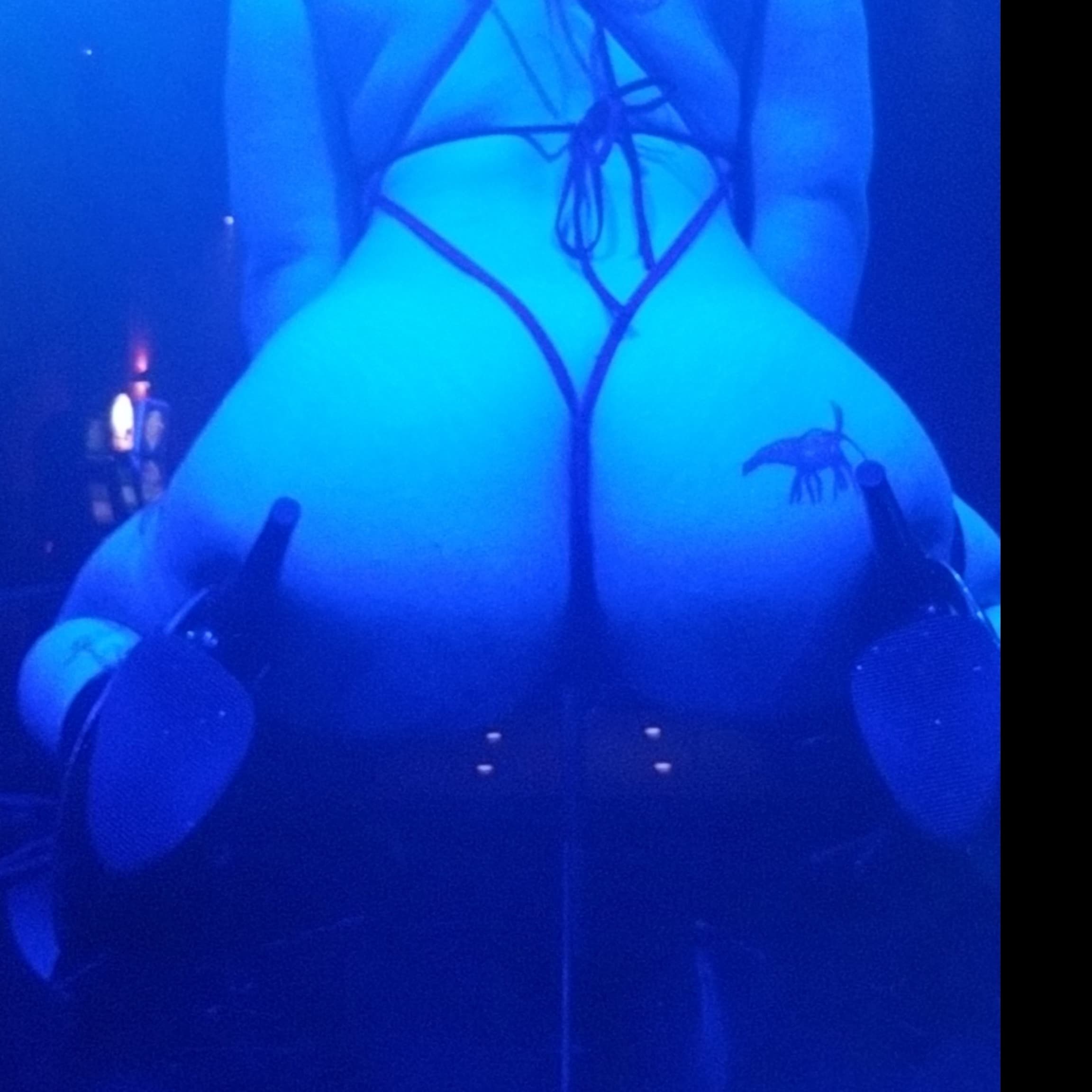 Whipbunny banner image