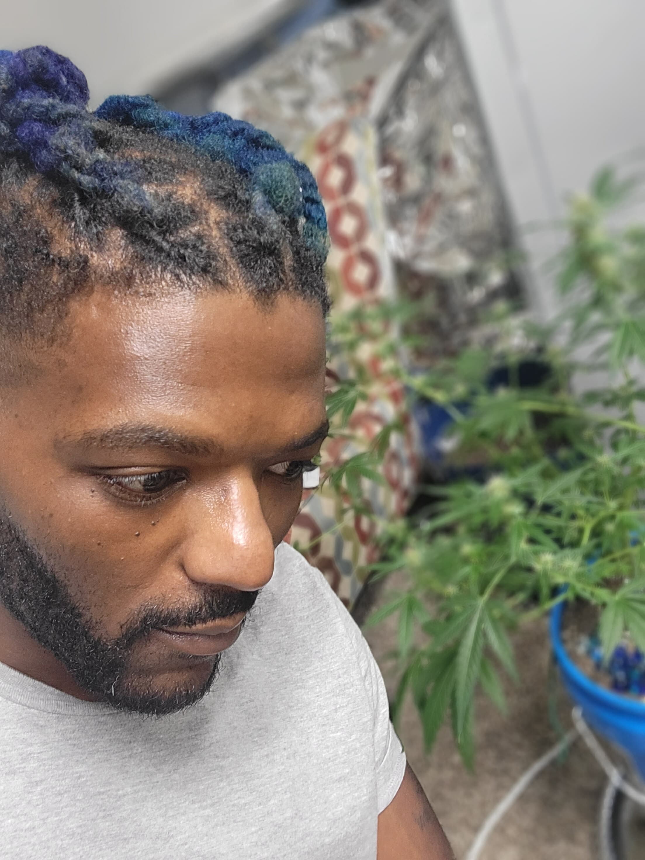Taste Budz banner image