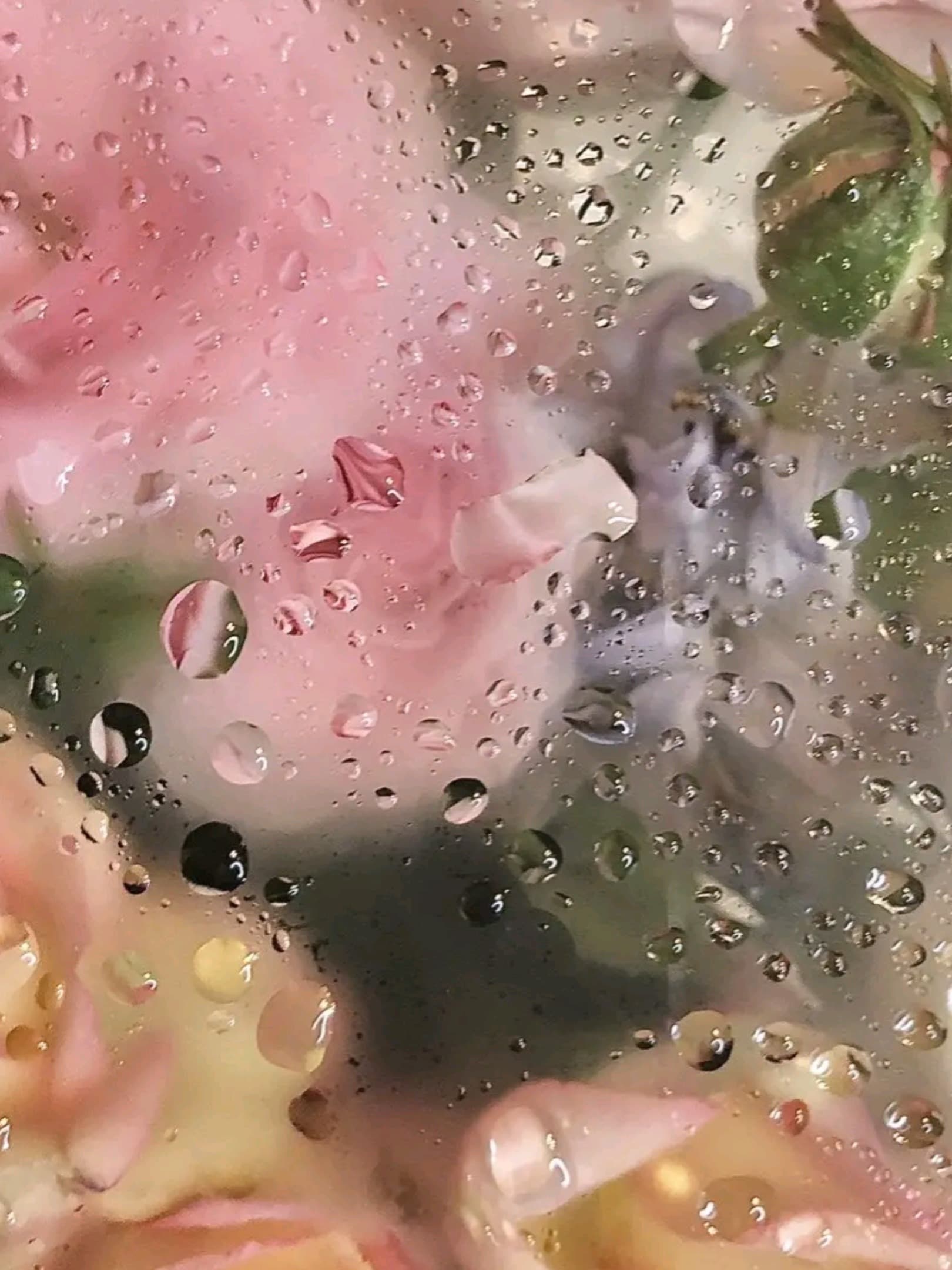 πBriπ banner image