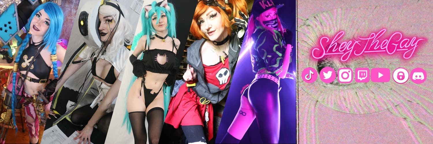 SheyTheGay banner image