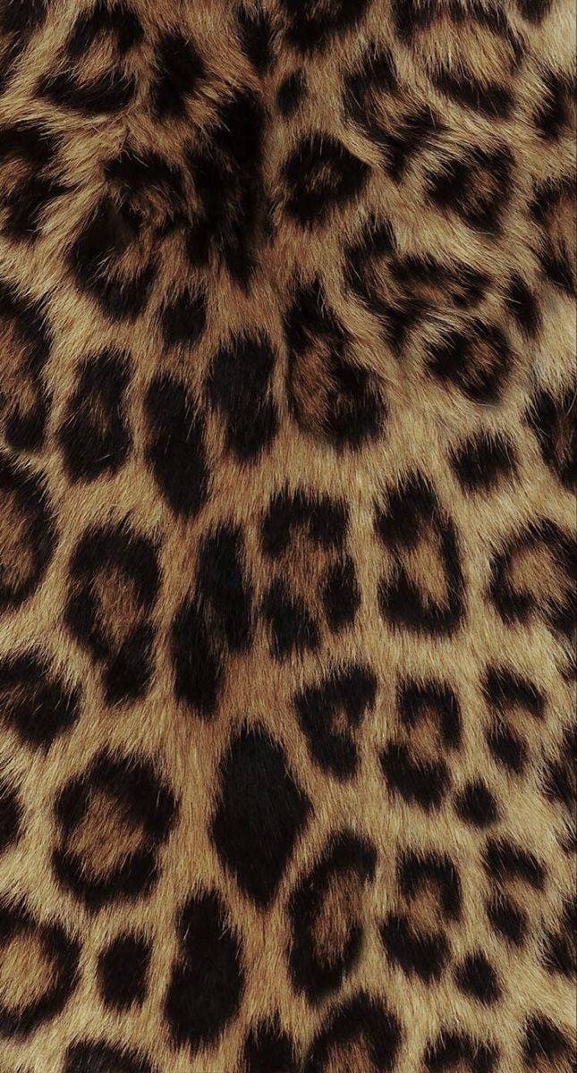 Olya Koss🐼 banner image