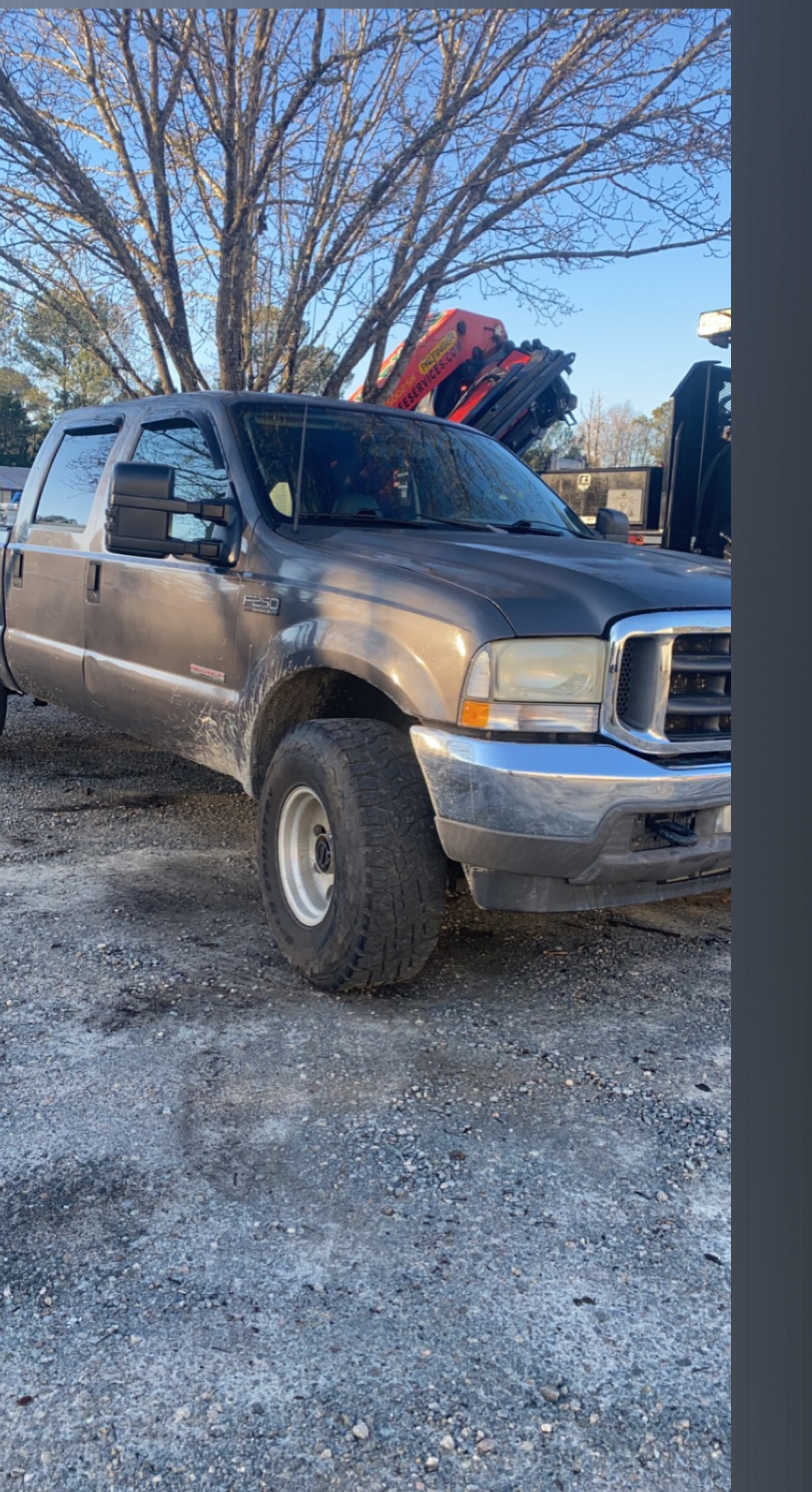 Dale Yeah banner image