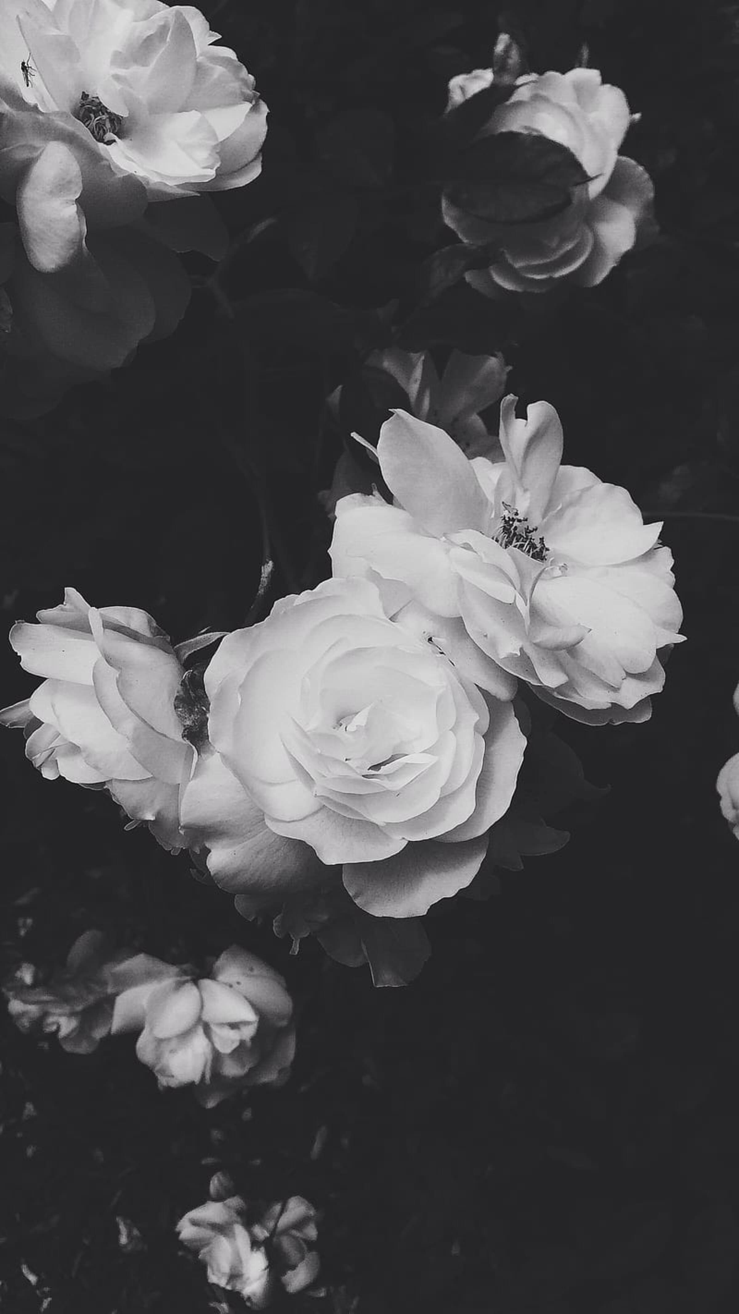 Momm🖤 banner image