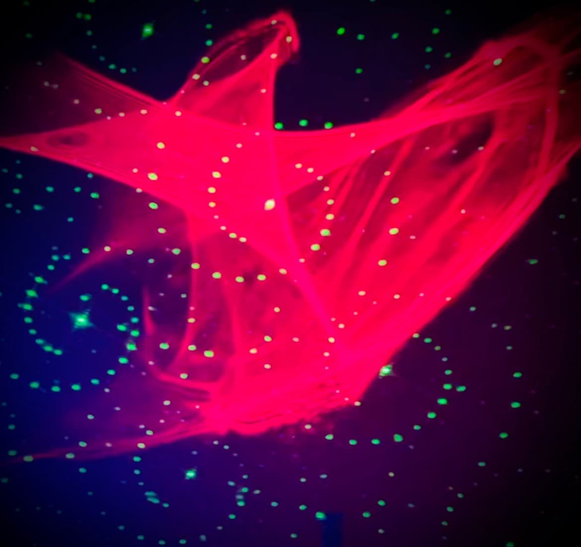 NP Trance Dance banner image