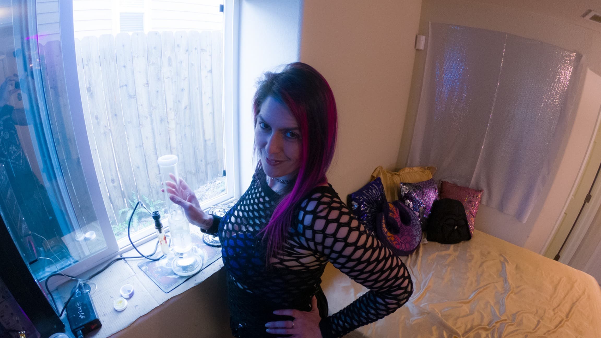DP Domina Ivy banner image