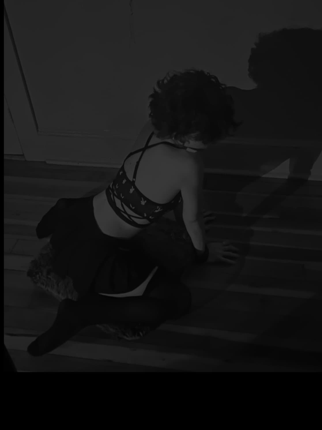 xanti banner image