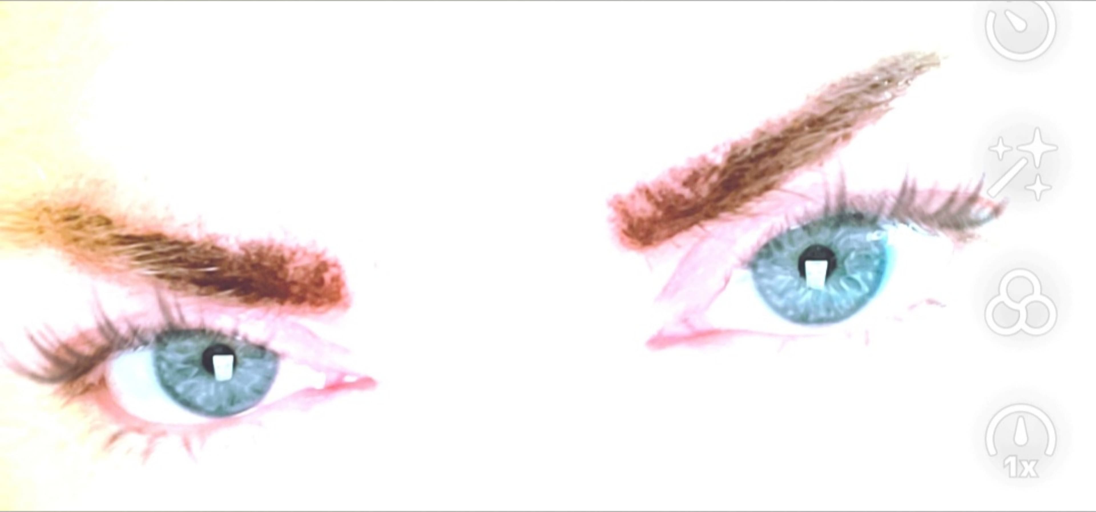 Nicki T banner image