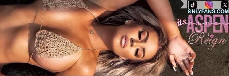 Aspen Reign π banner image