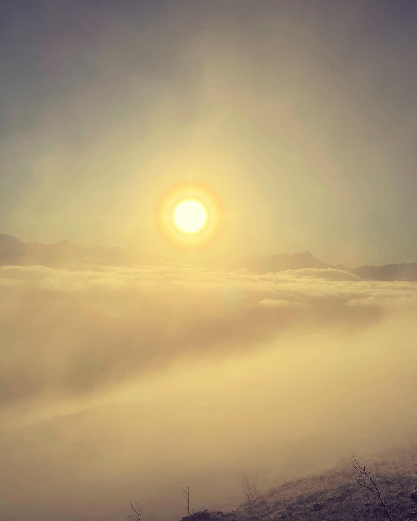 Linn Heidi Karlsen banner image