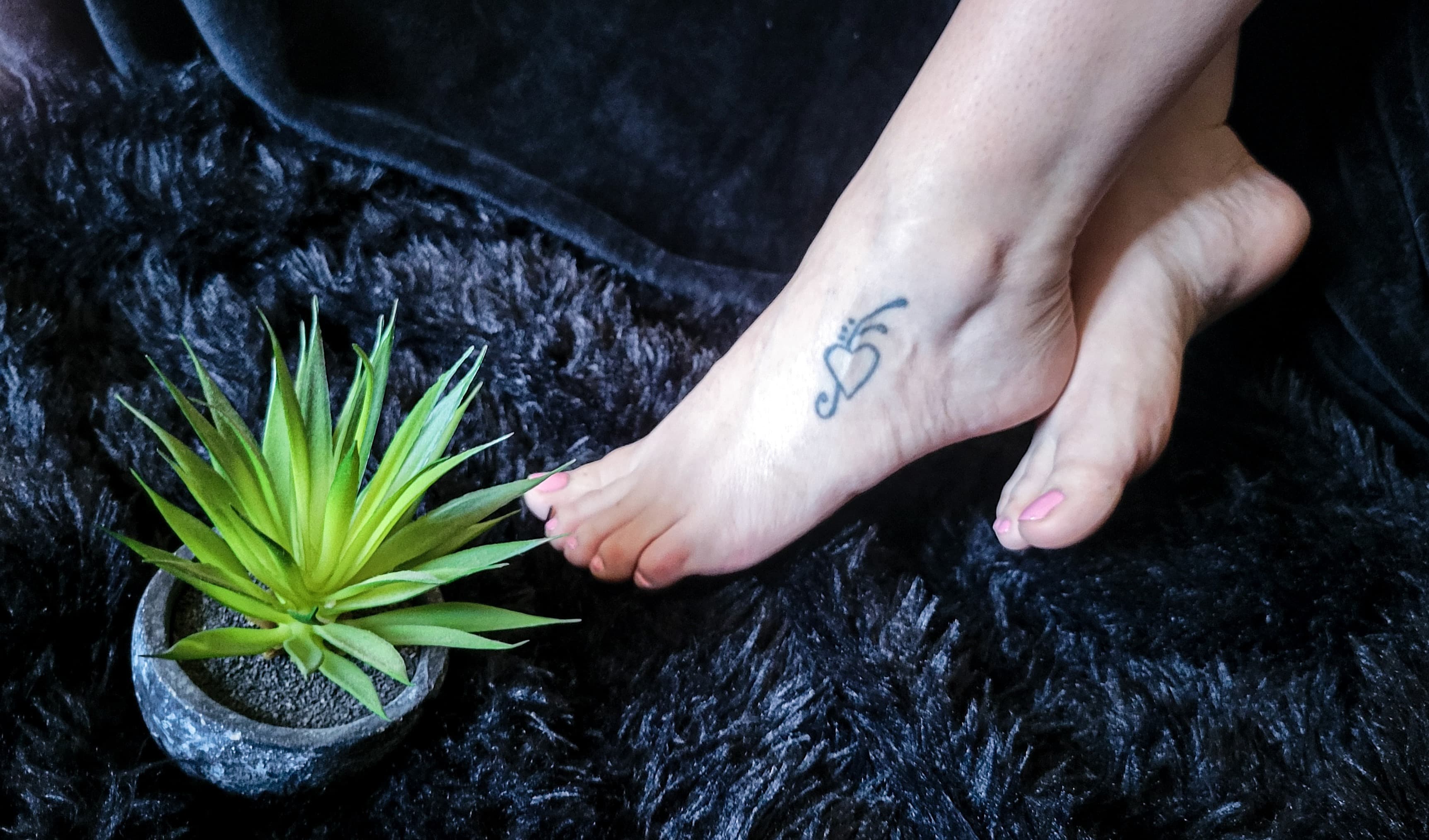Tipsy Toes banner image