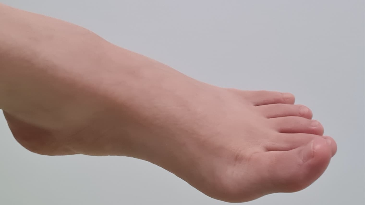 mochi's feet banner image