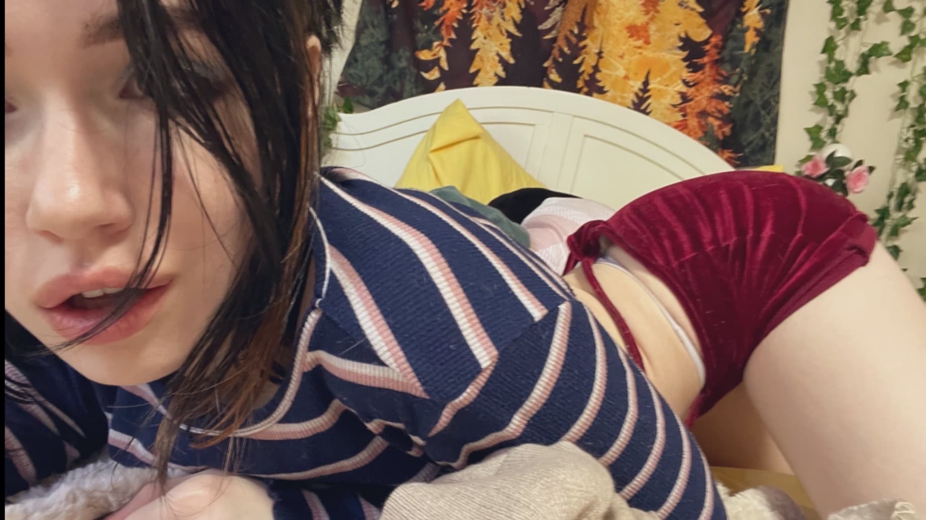 liiias18+ banner image