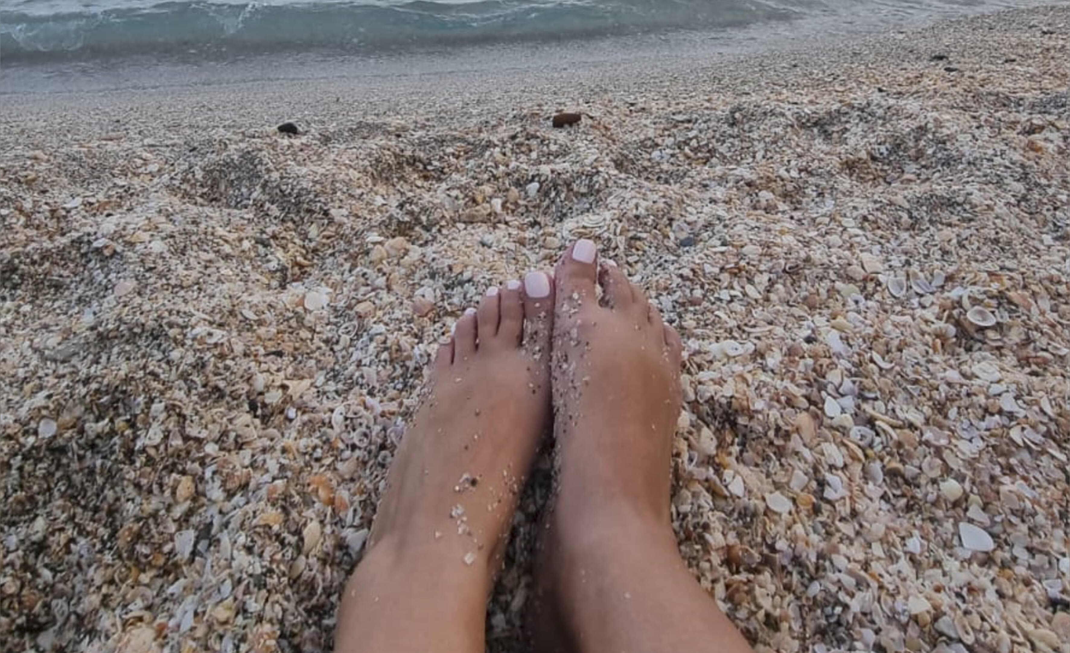 Sandfeet banner image