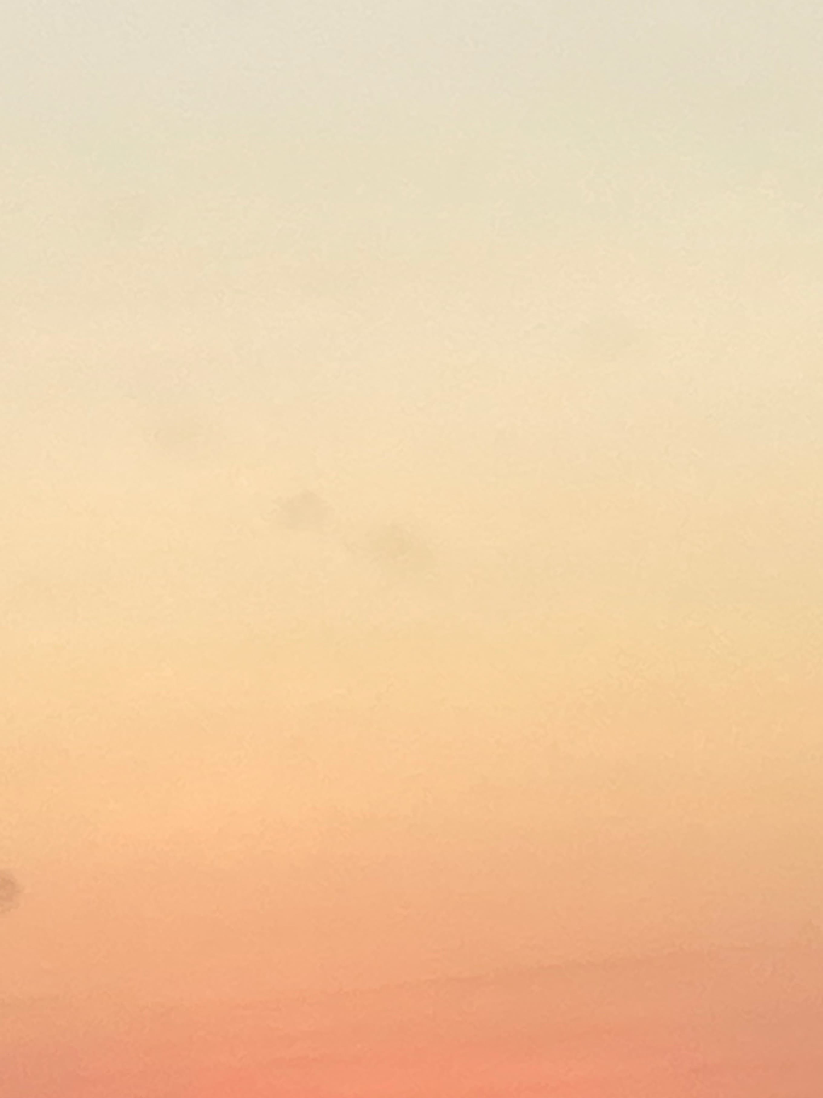 Marieh banner image
