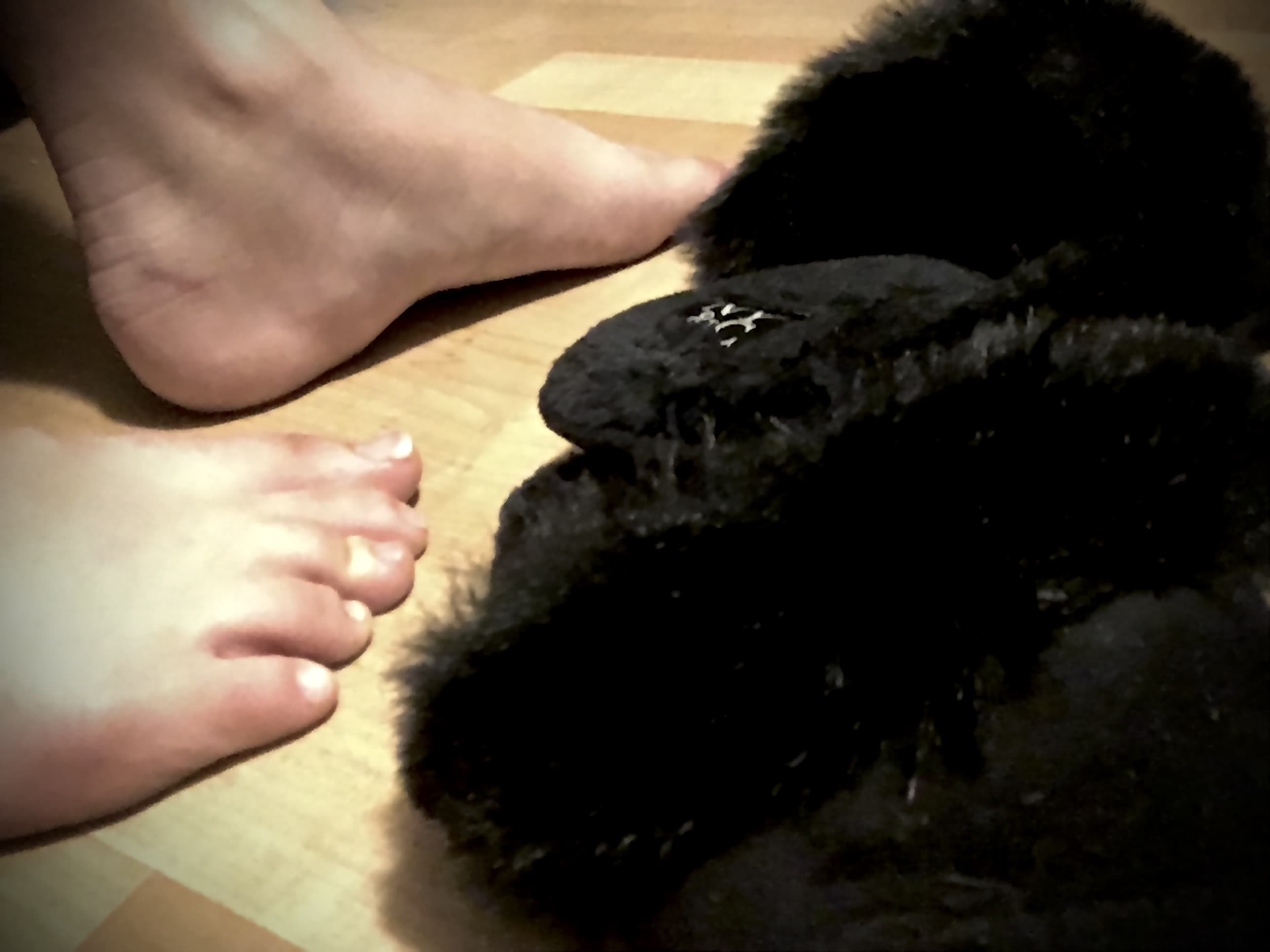 Alissa Kozar banner image