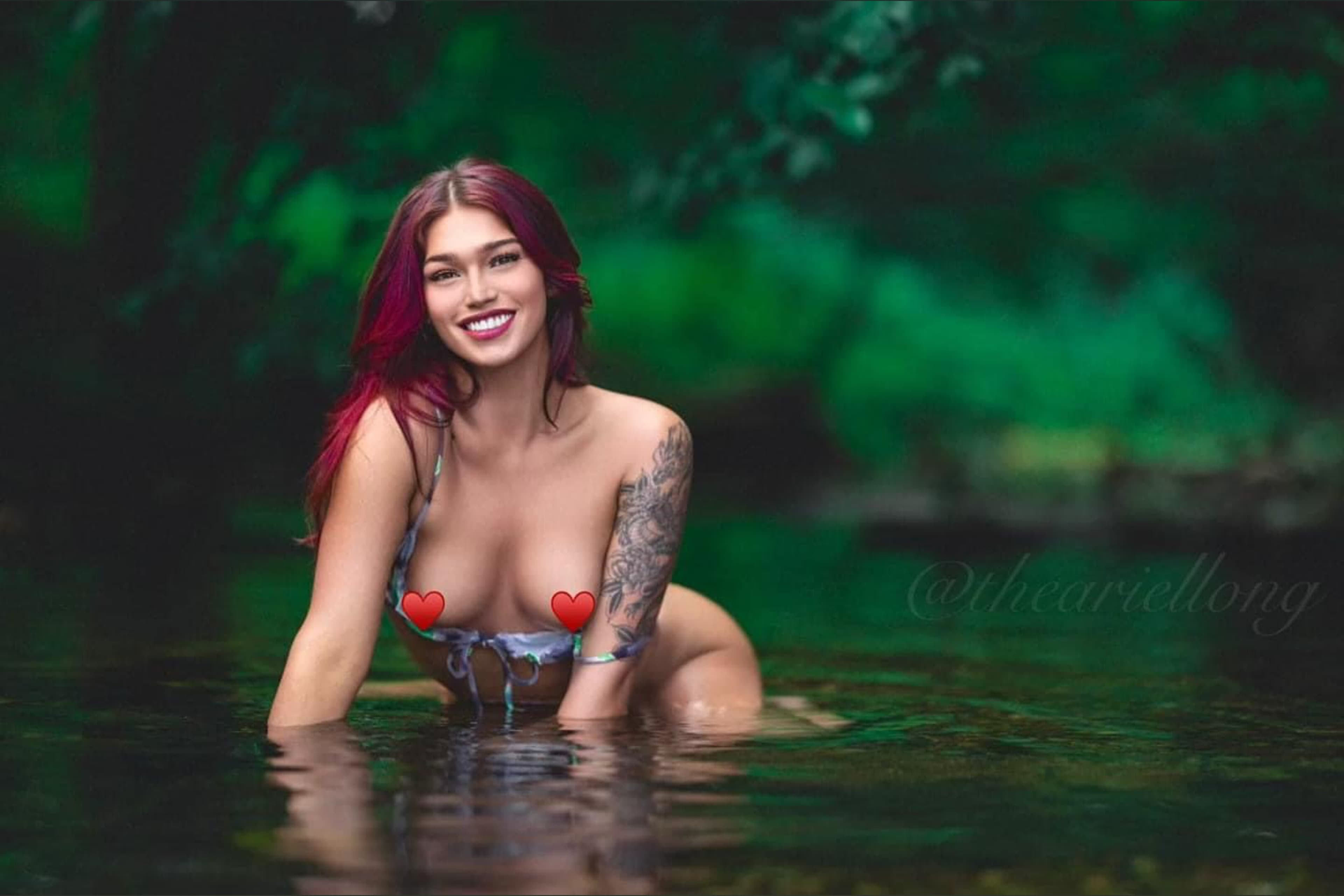 Ariel banner image