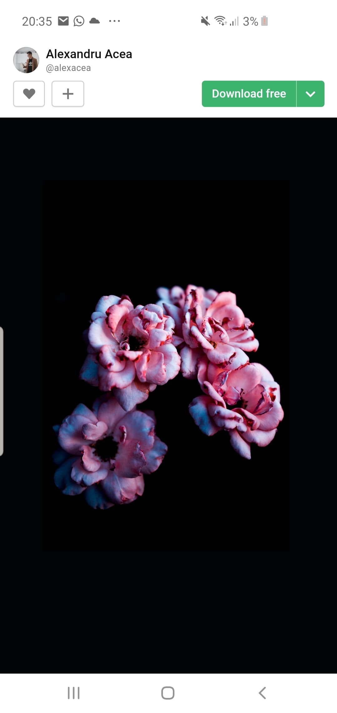 Blue eyed girl π banner image