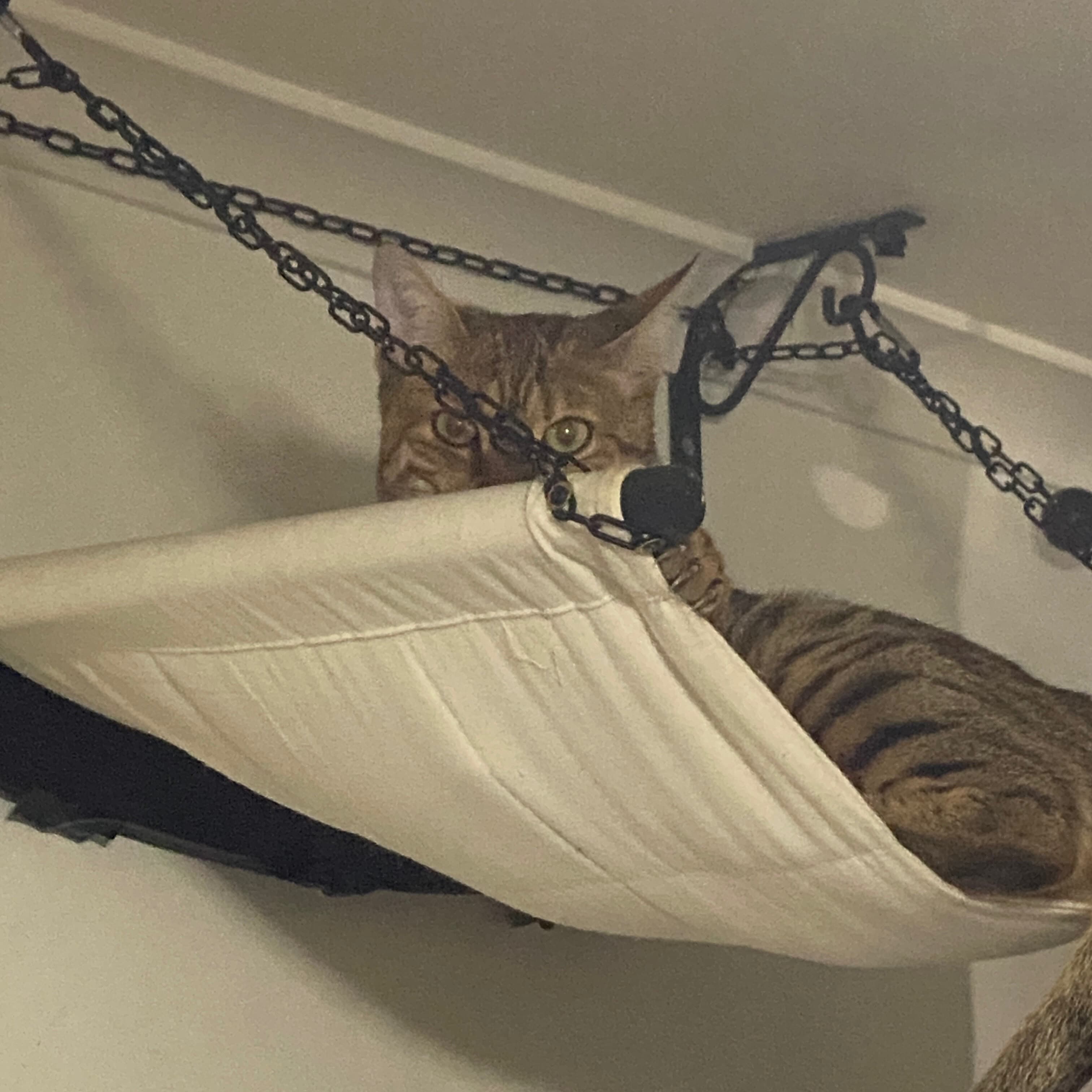 NahTahlia banner image
