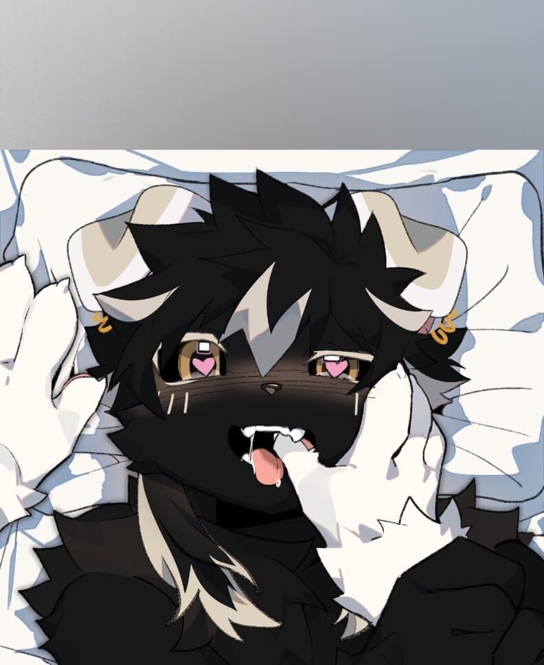 ๐ฝ๐ก๐๐ญ๐ฏ๐ฎ ๐พ banner image