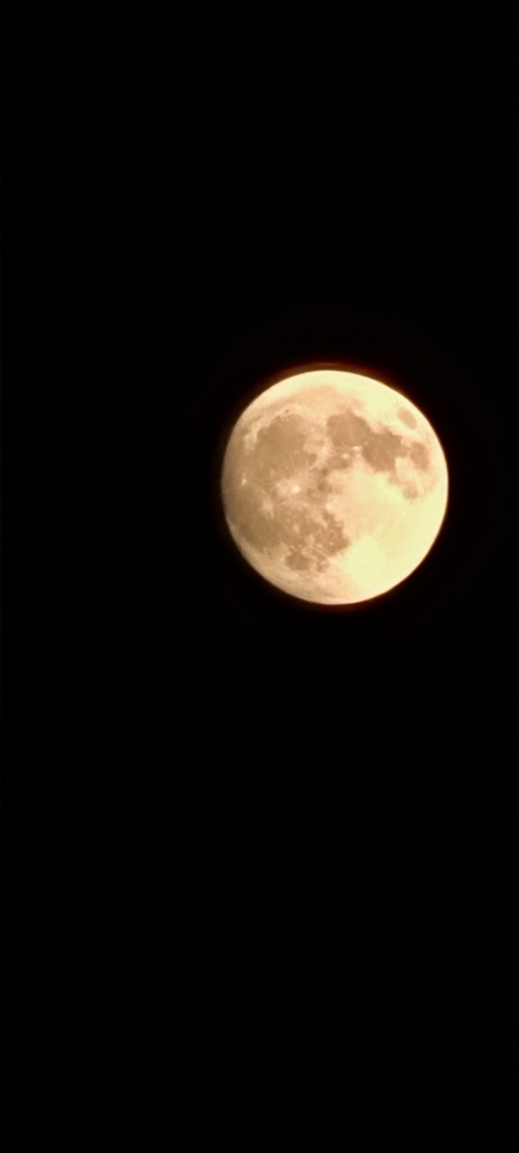 MochaMama banner image