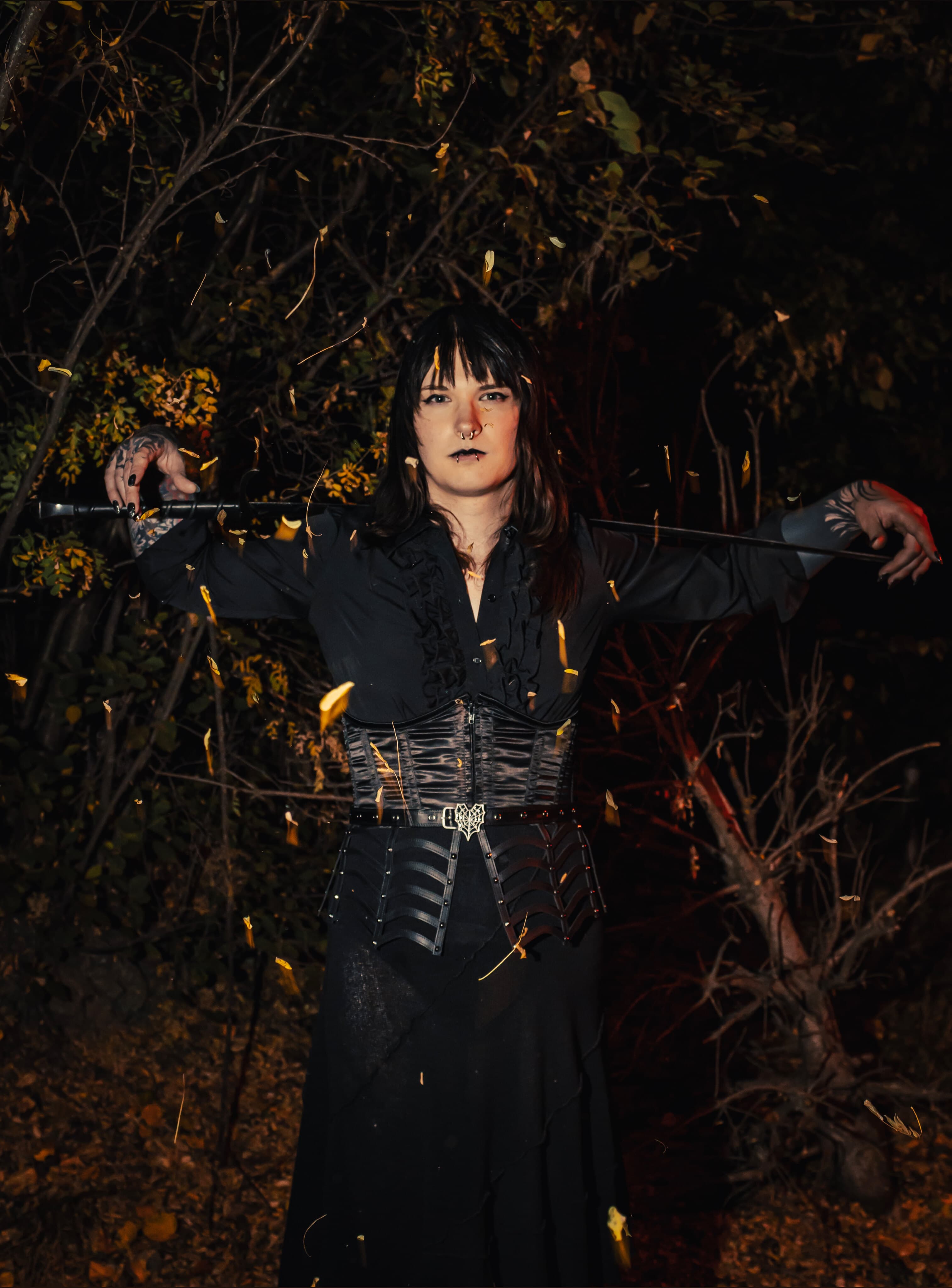 Raven banner image