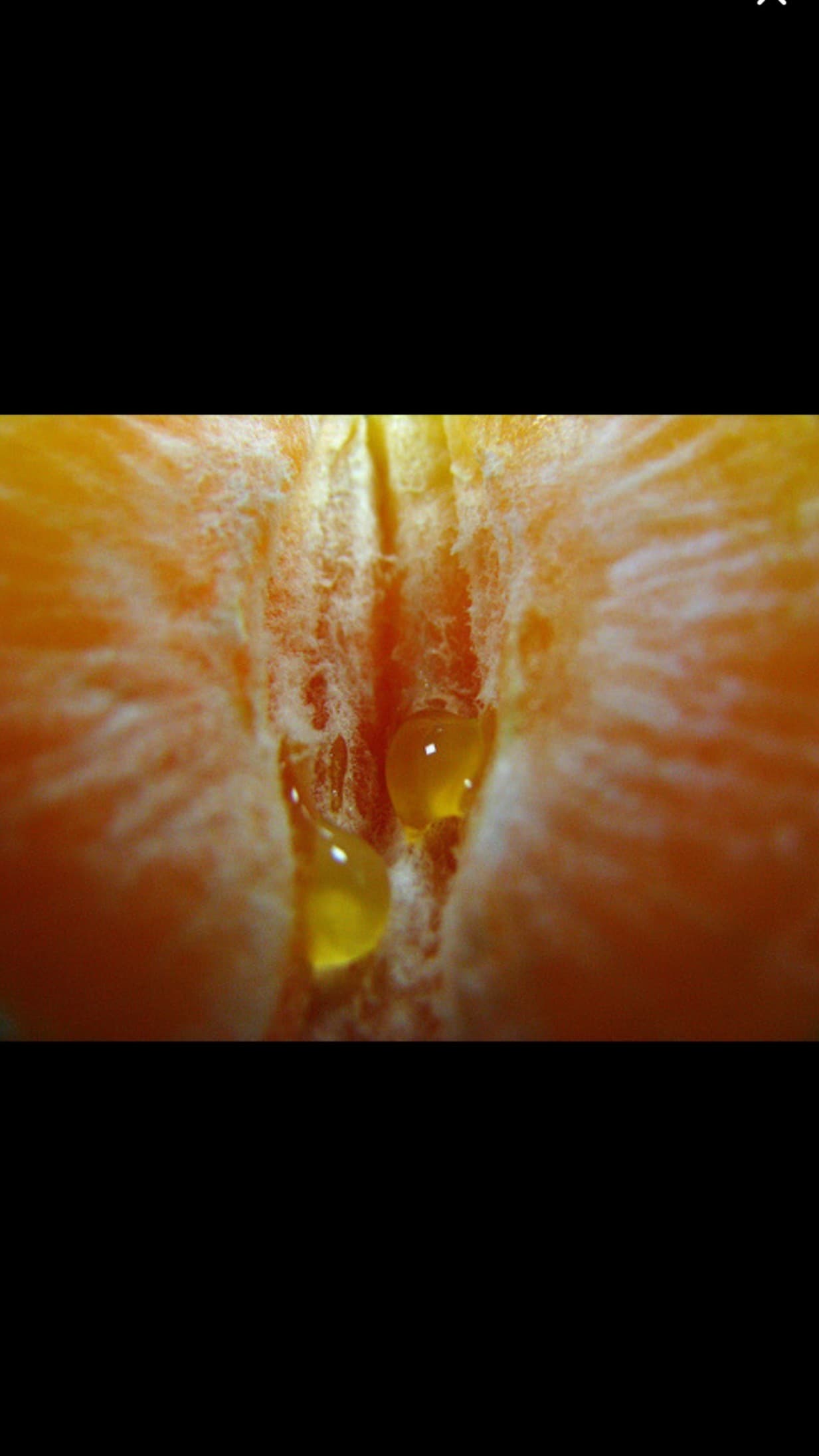 NOVA π¦ banner image