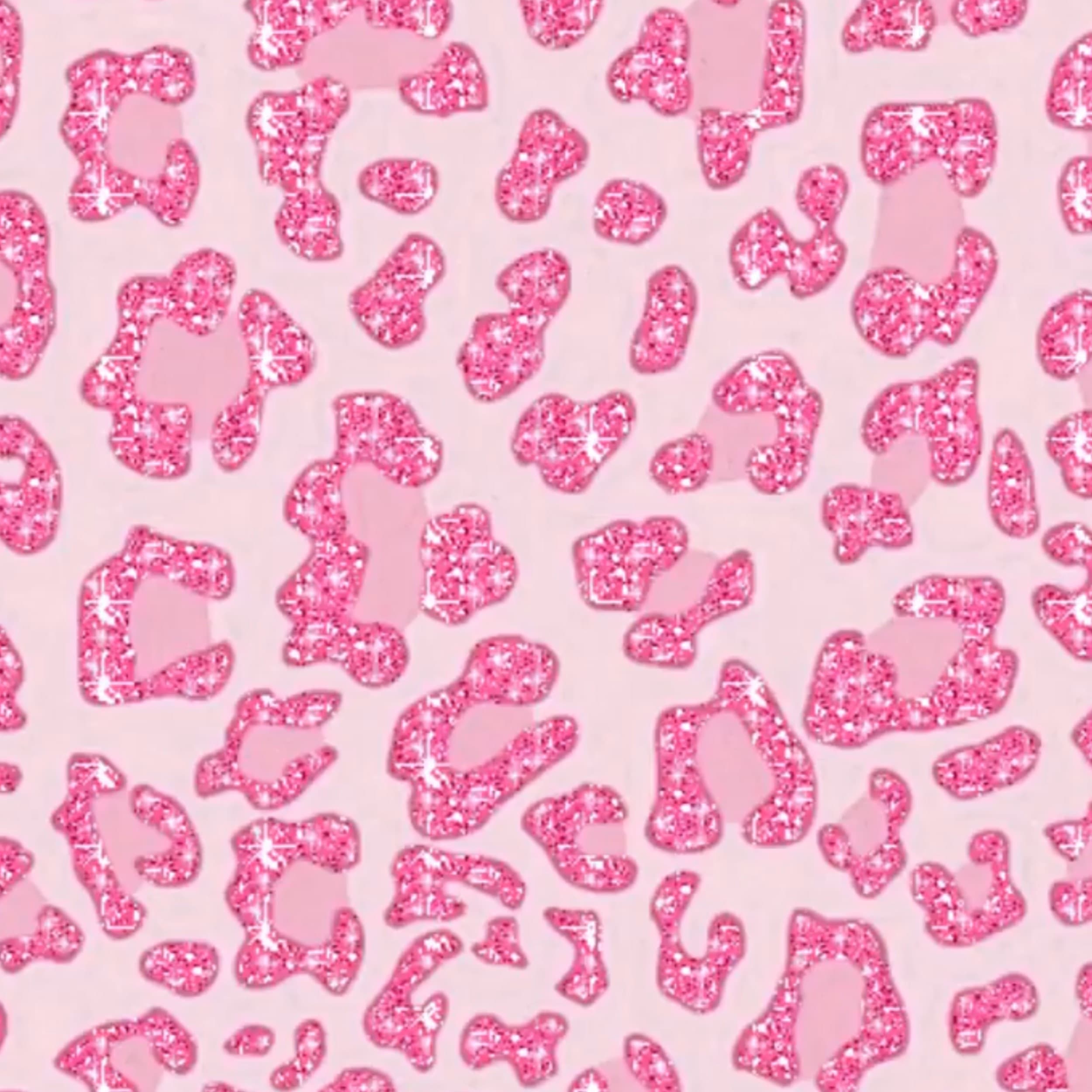 kitty kat banner image