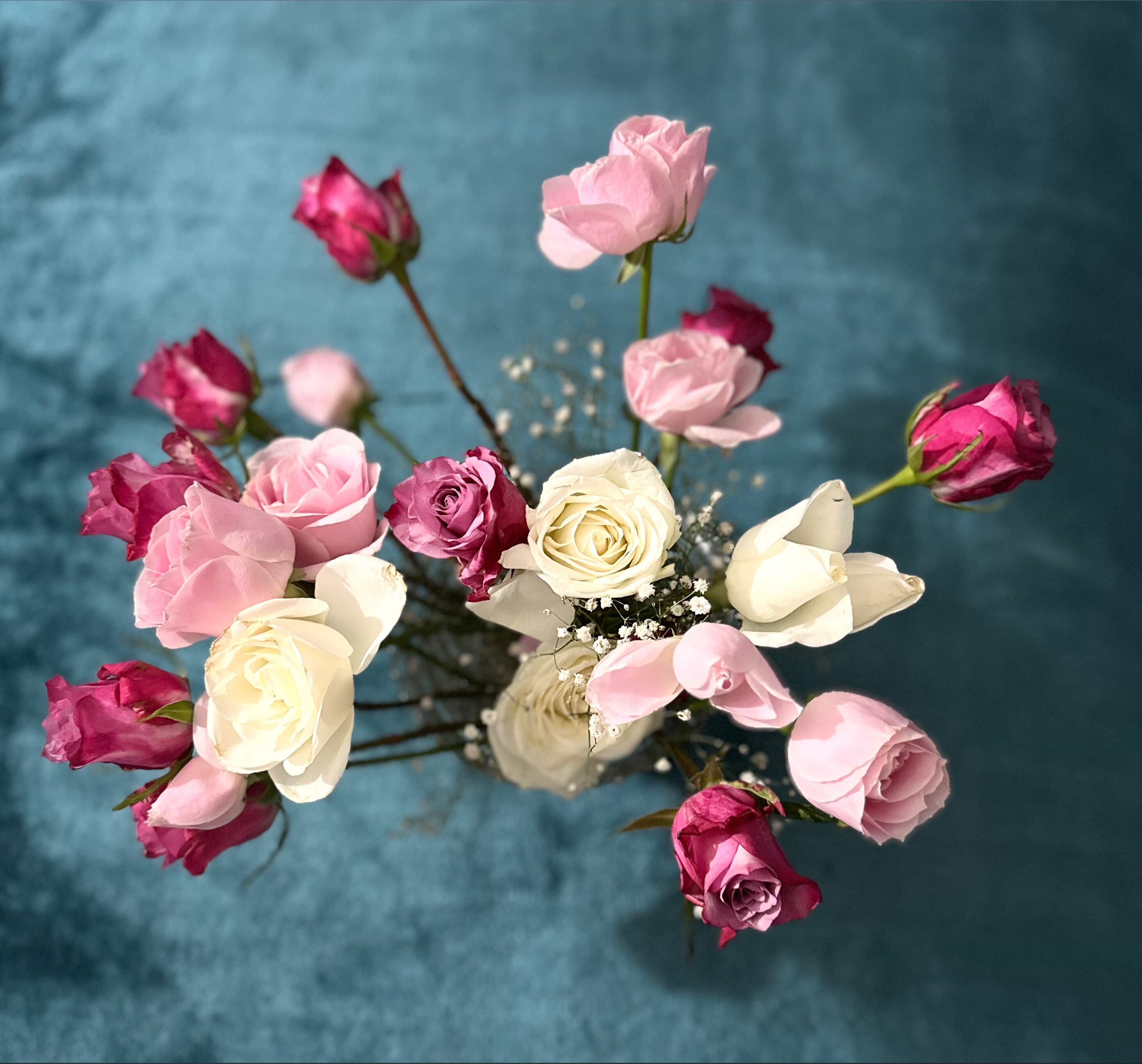 π©·π Elizabeth Rose π₯°πΌ banner image