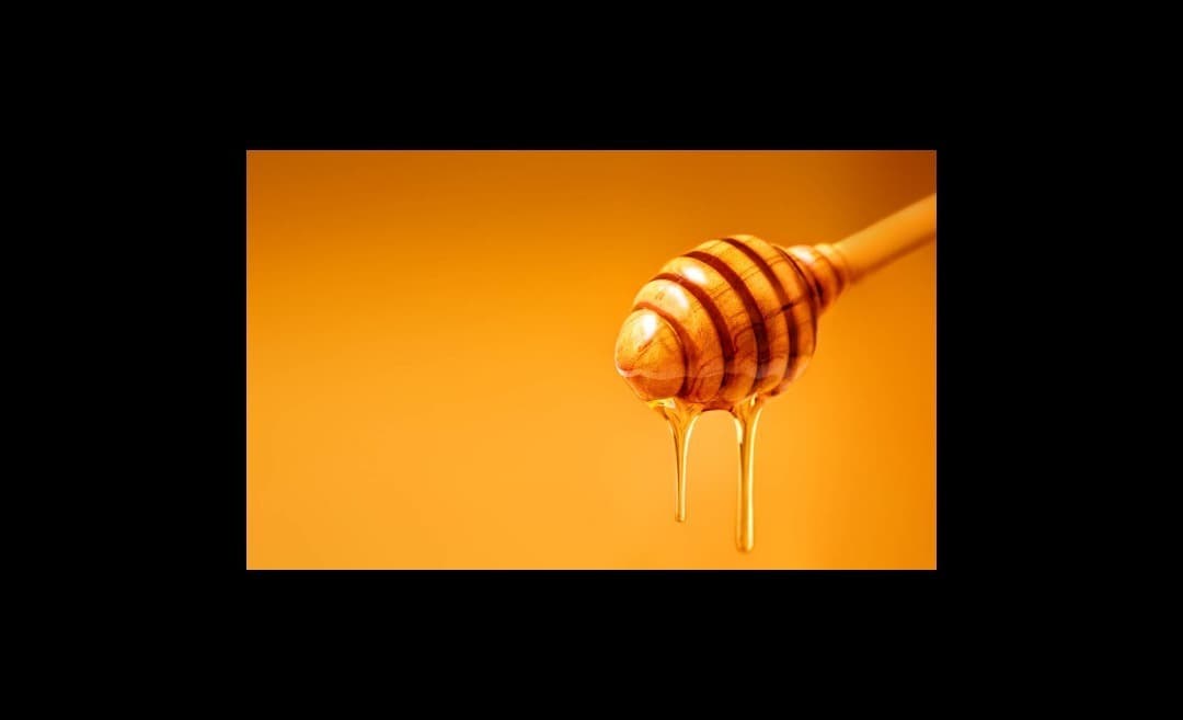 Dunkin in my bits banner image