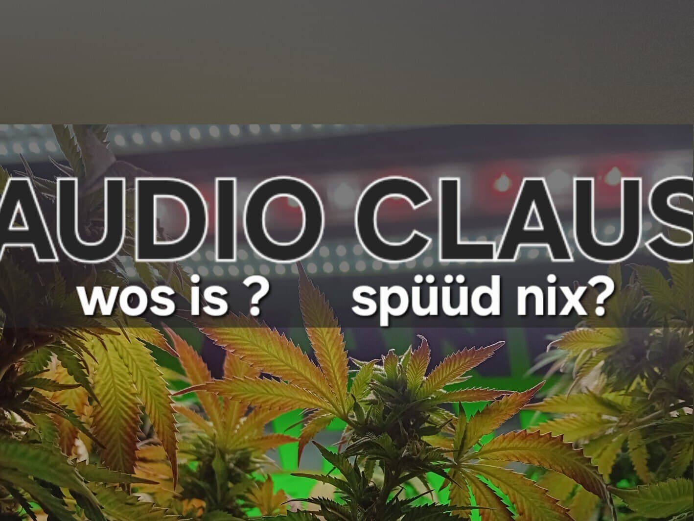 Audio Claus / unzensiert banner image