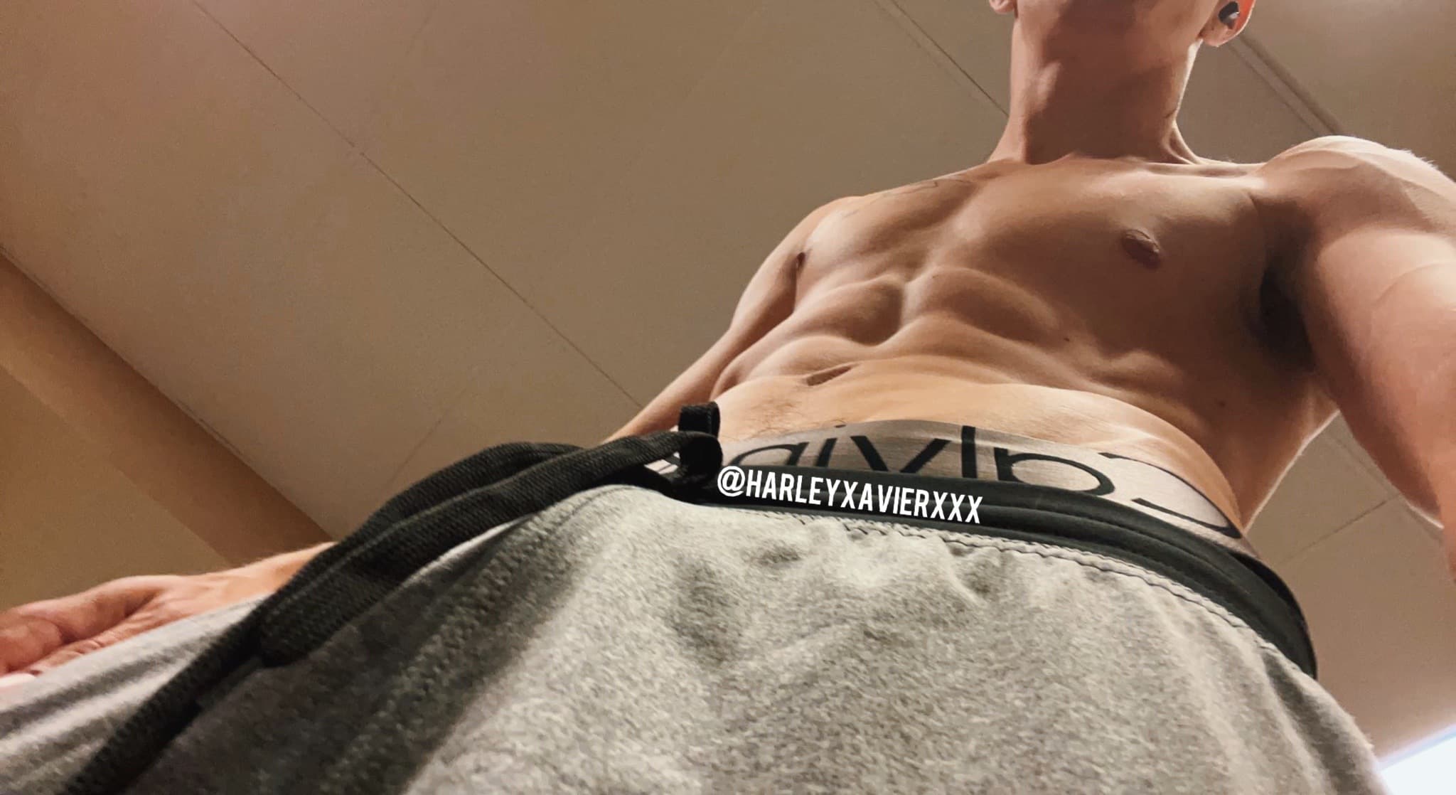 Harley Xavier banner image