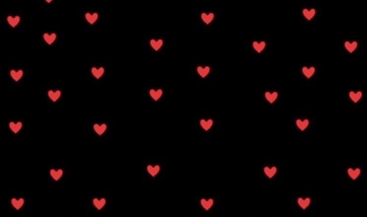 Puppy banner image
