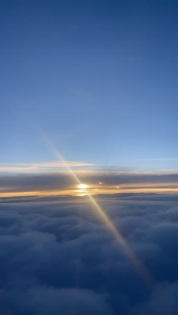 Linea banner image